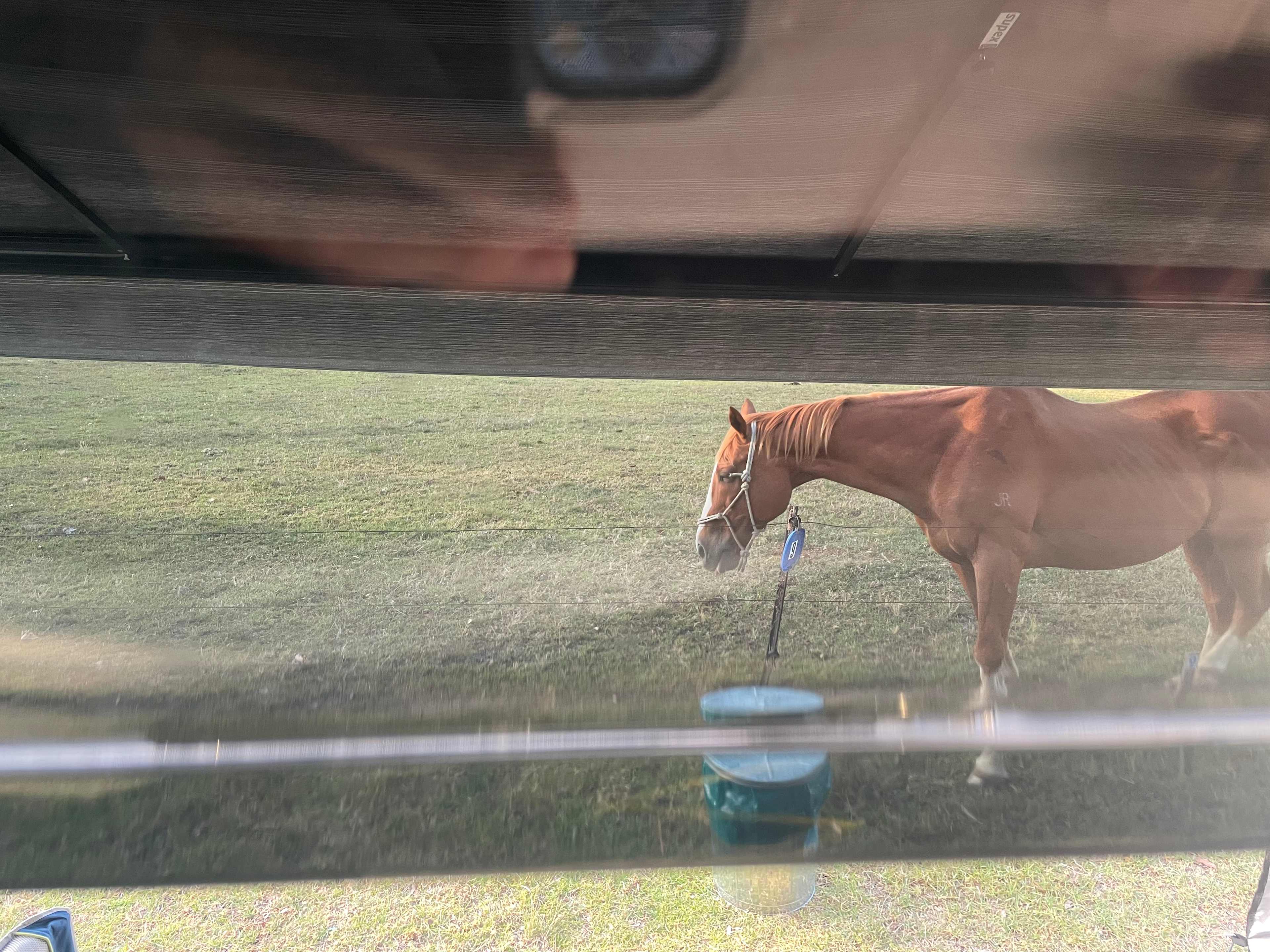 Figtree Camp @ Mystery Bay
