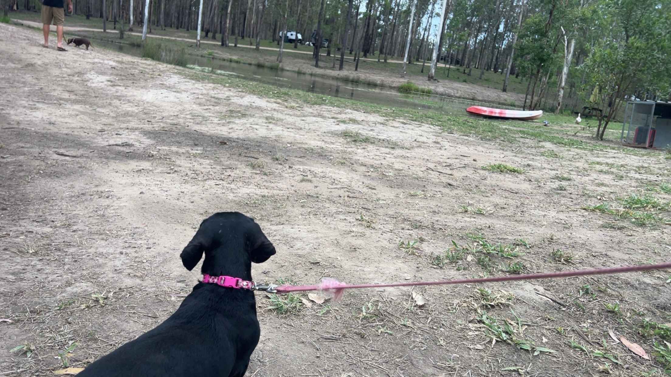 Hidden Camp Farm Stay