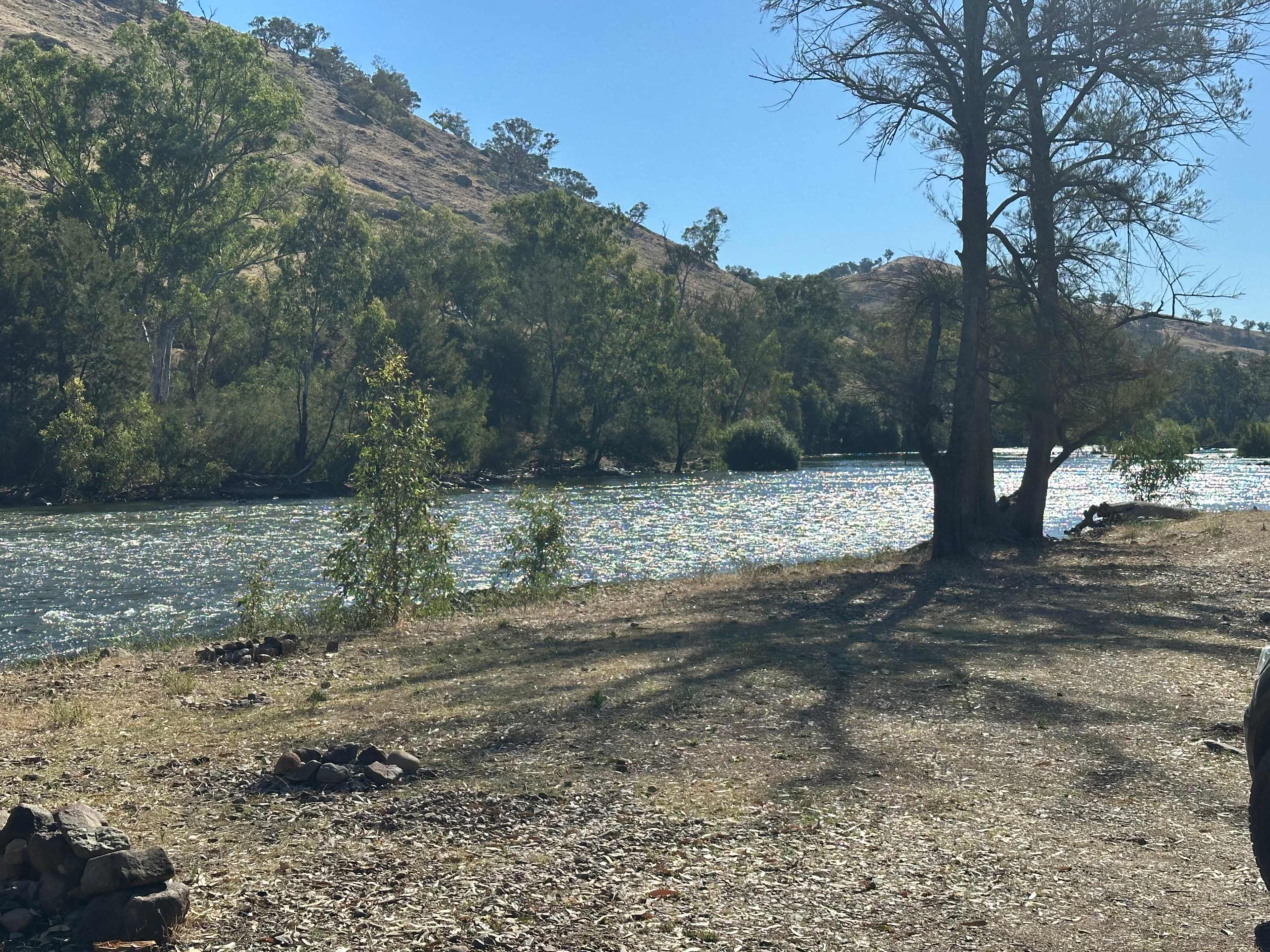 Jarabin on the Murrumbidgee
