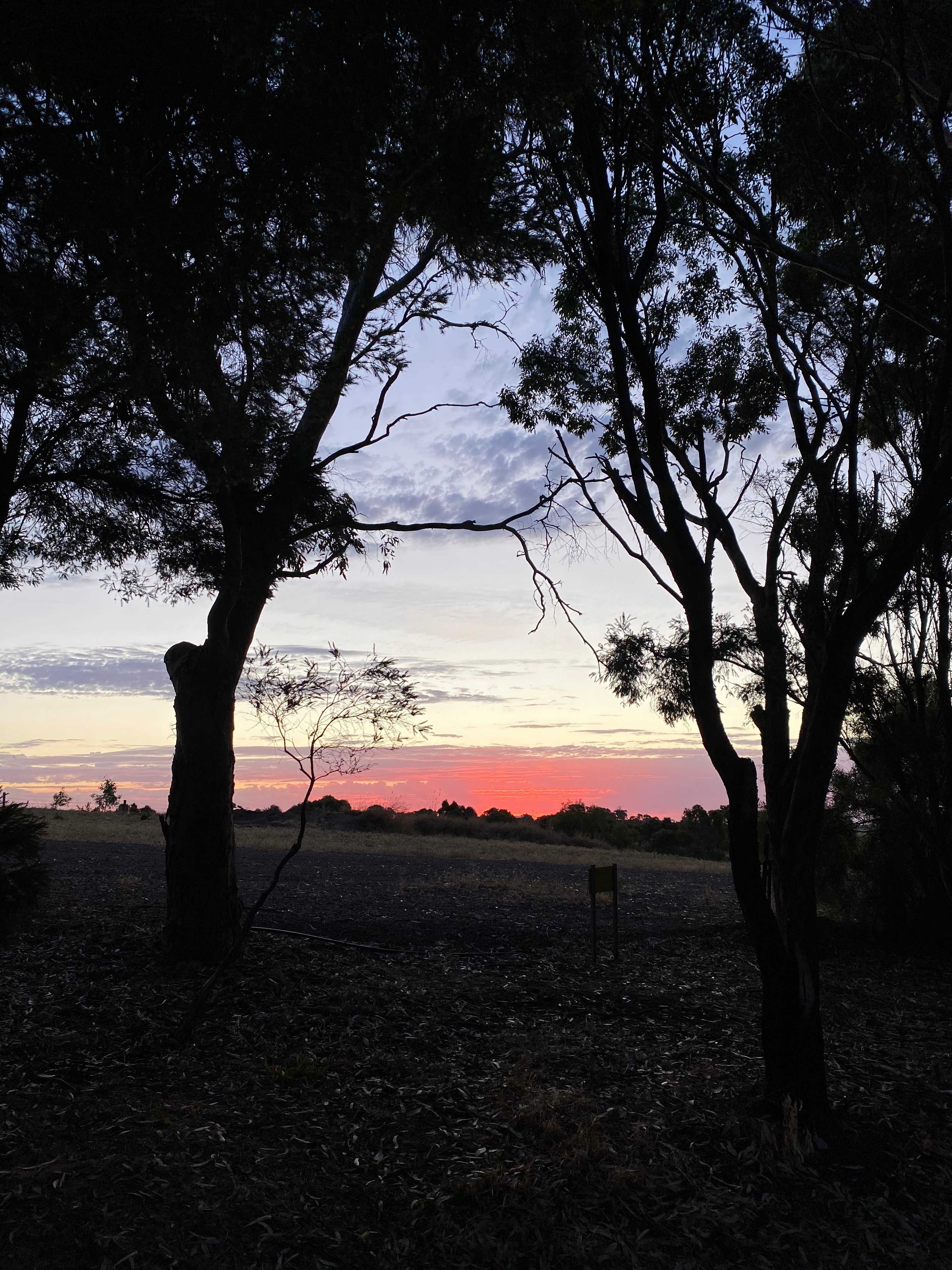 Koala Coast Retreat Farm