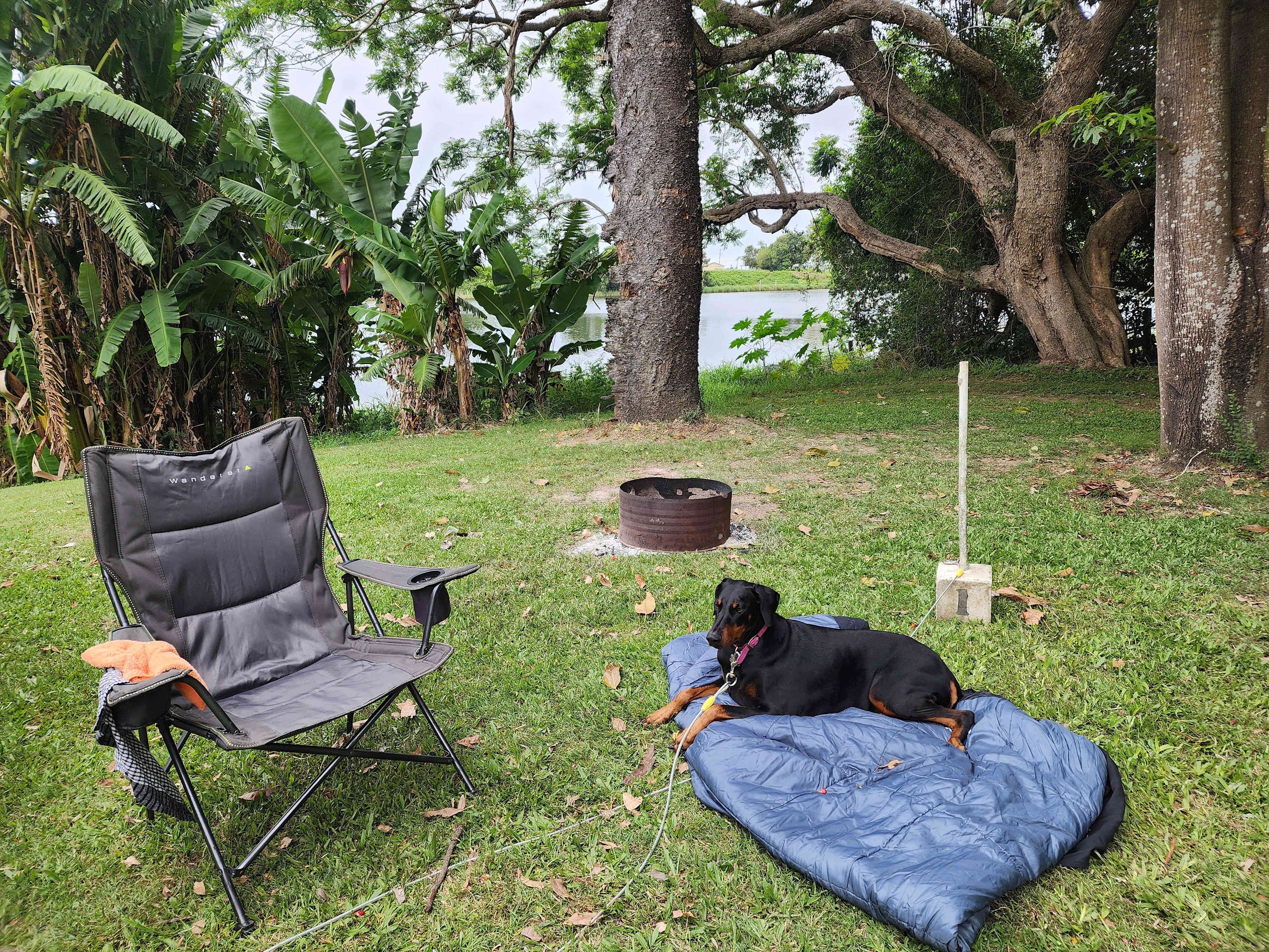 River terrace camping Cowper 2460