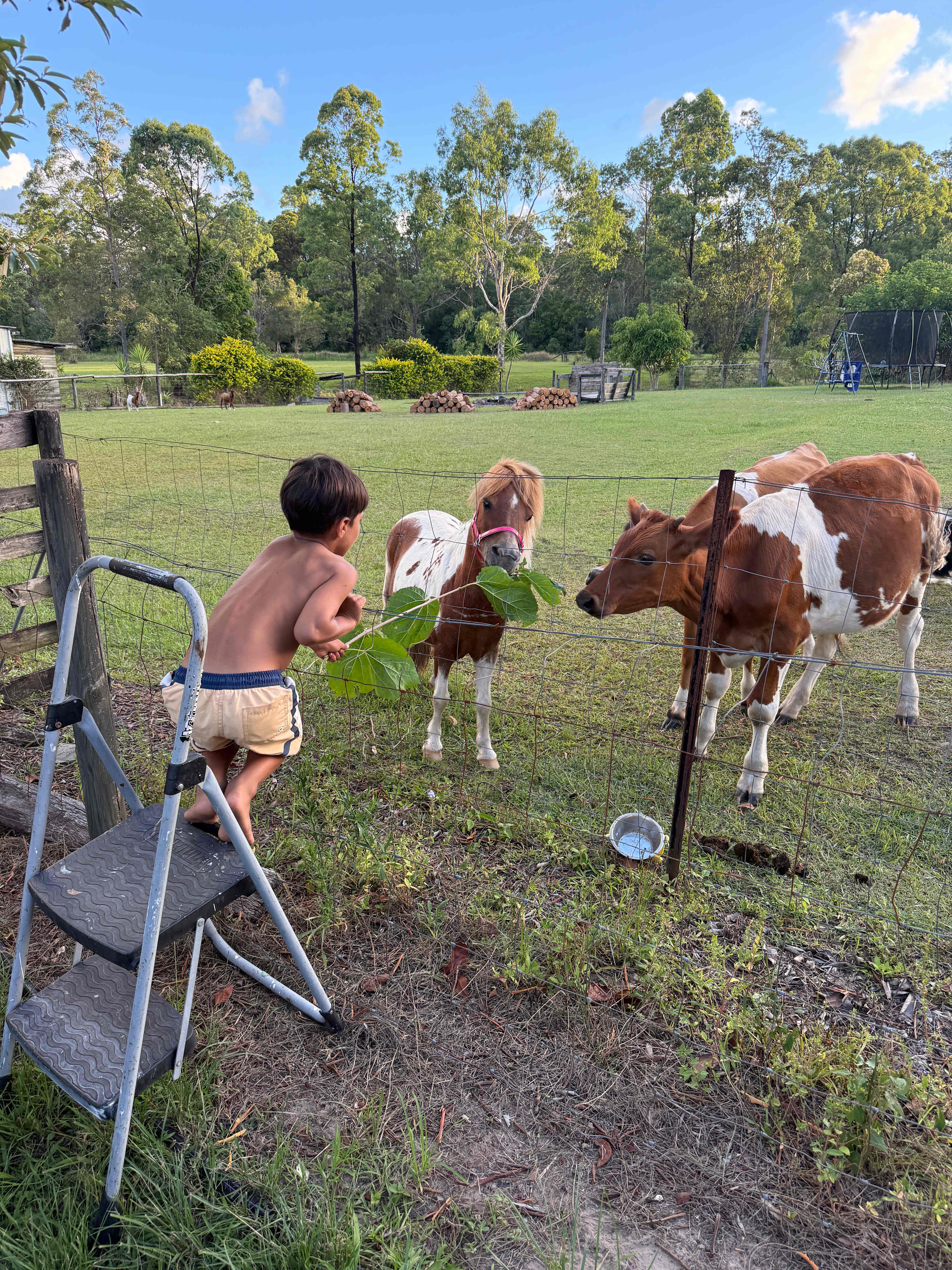 Robbo's Retreat LANDSBOROUGH