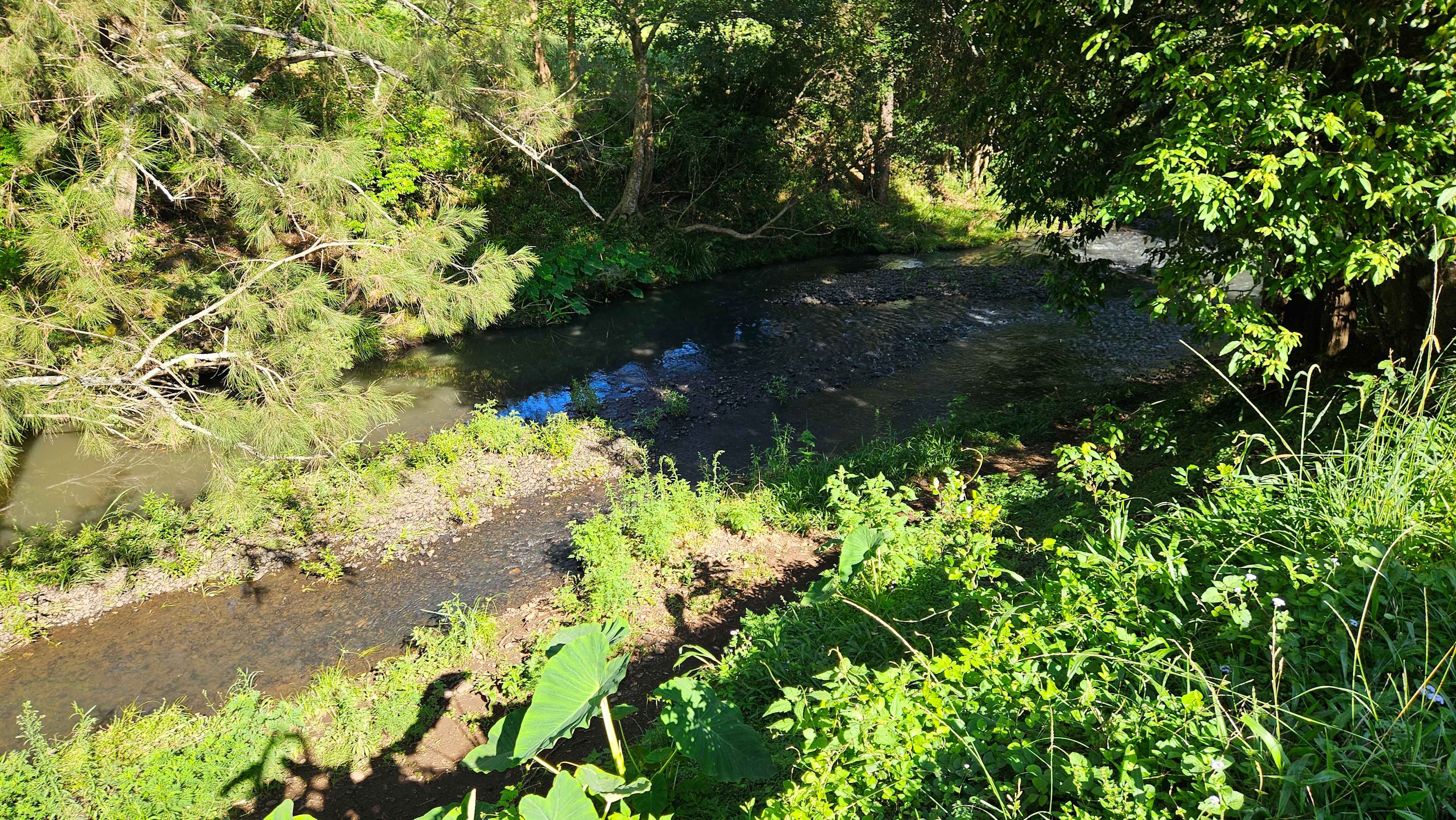 Border Ranges Pastoral