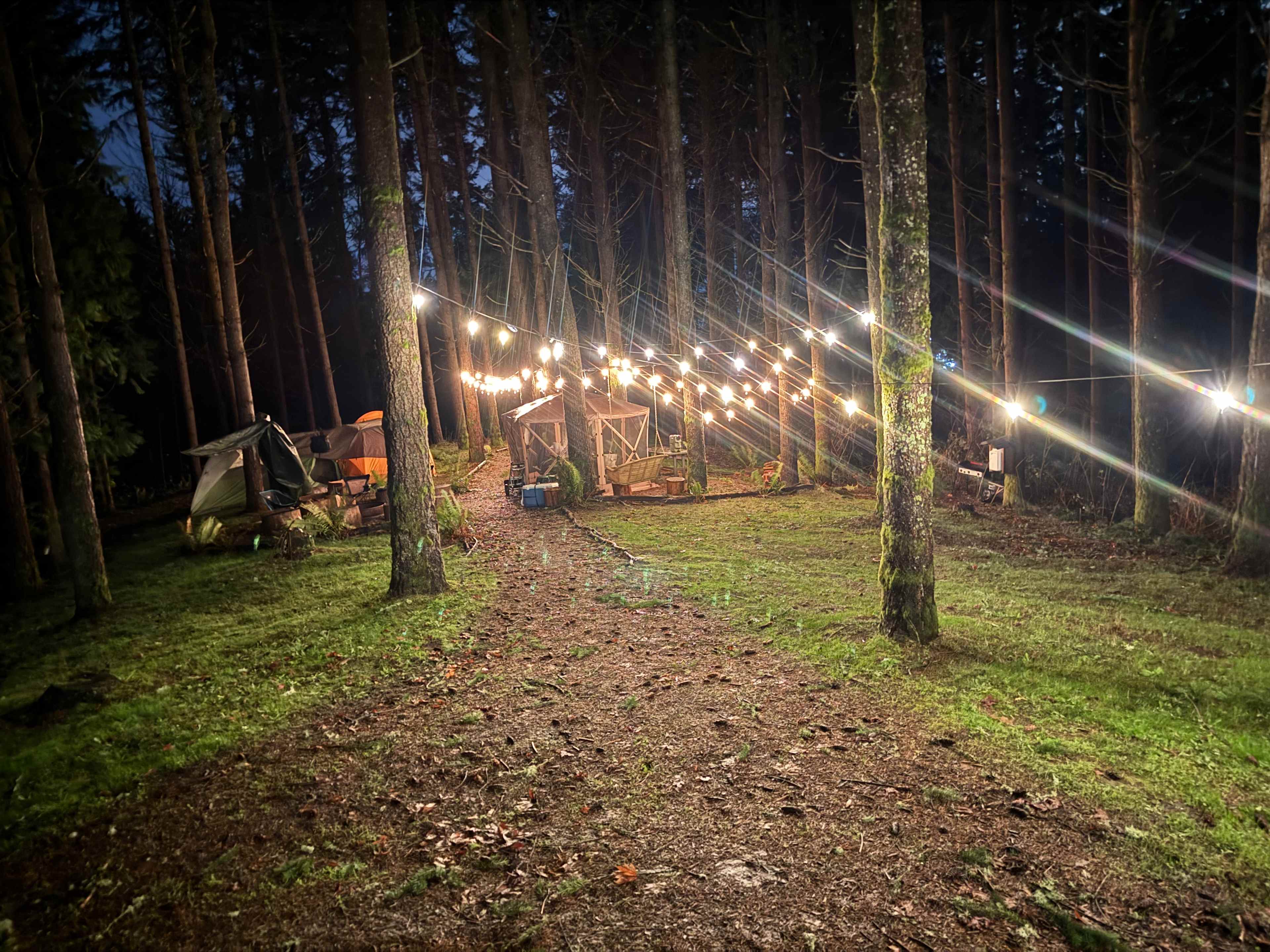 Akitaaru Forest Camp