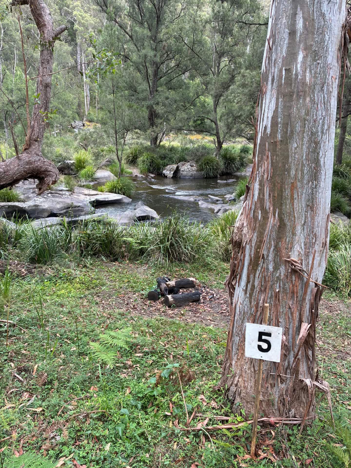 Blicks River Camping