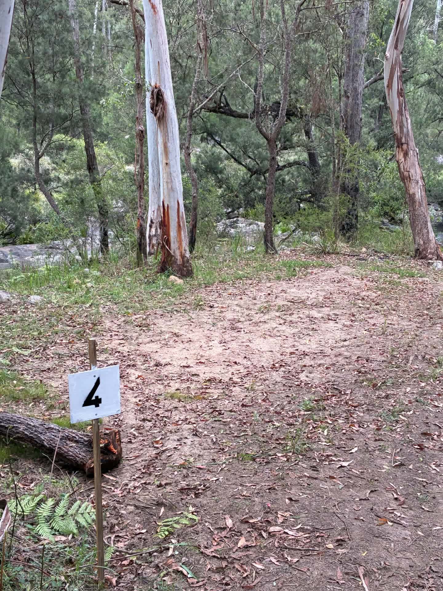 Blicks River Camping