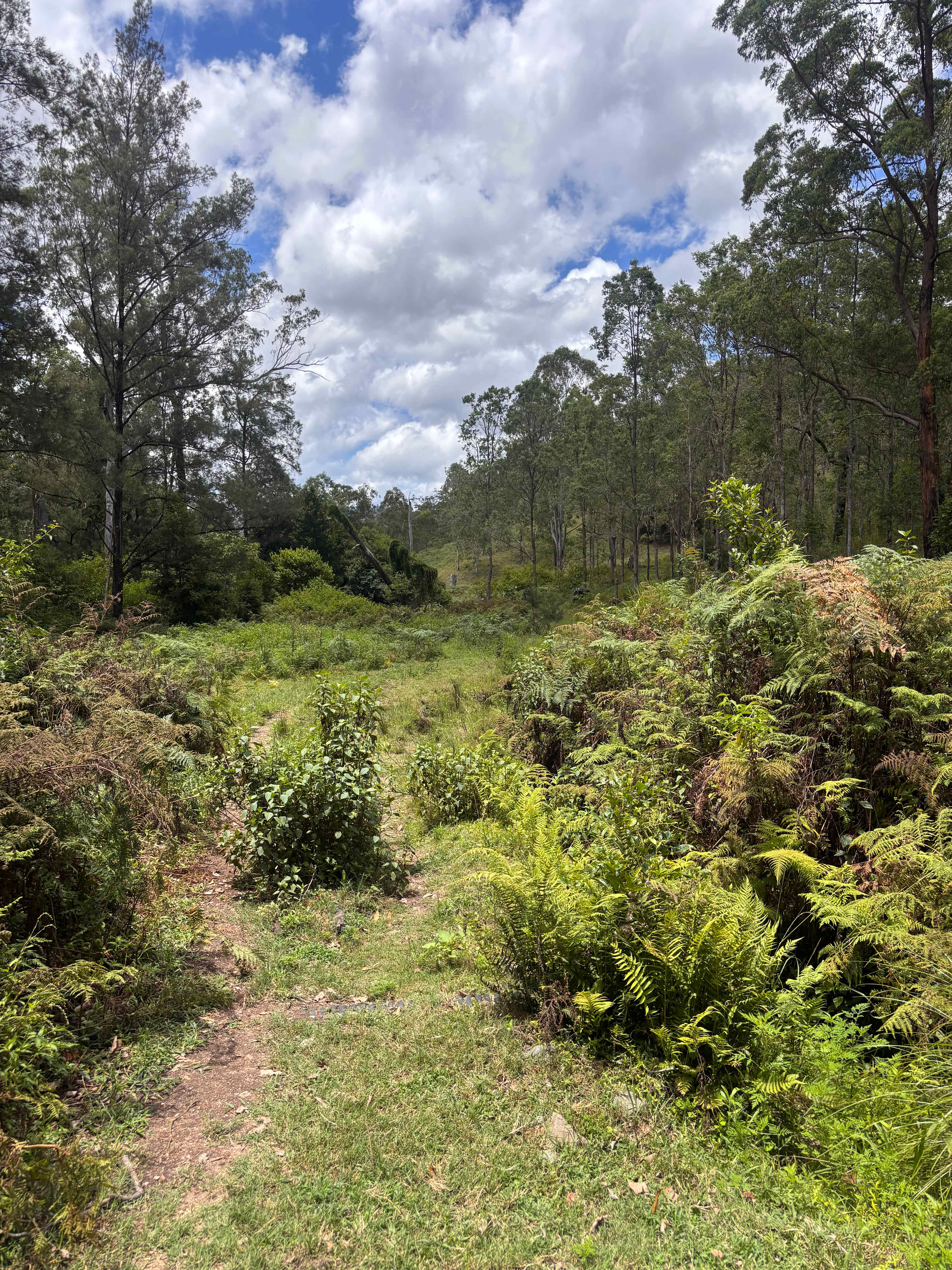 Rocky River Play Station