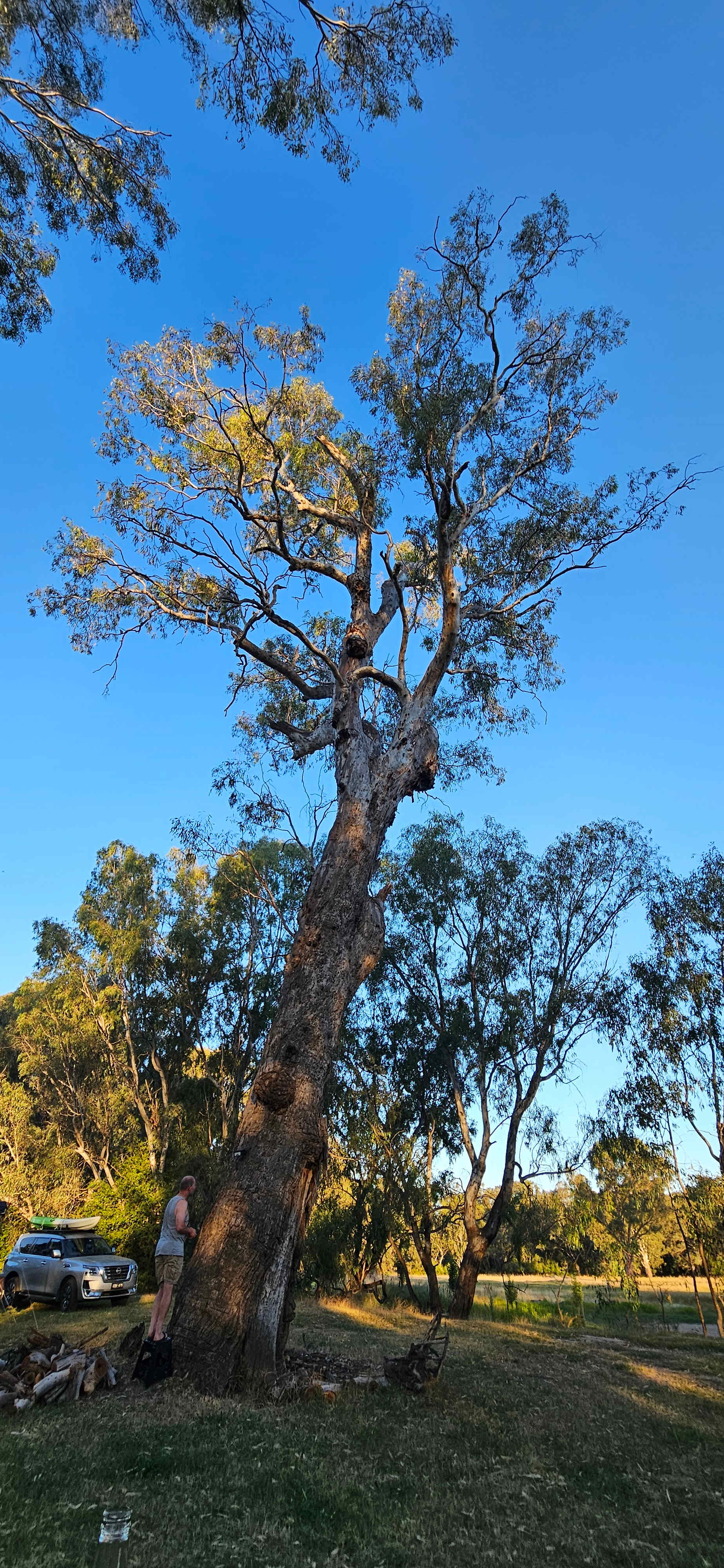 Billabong Flats Farm