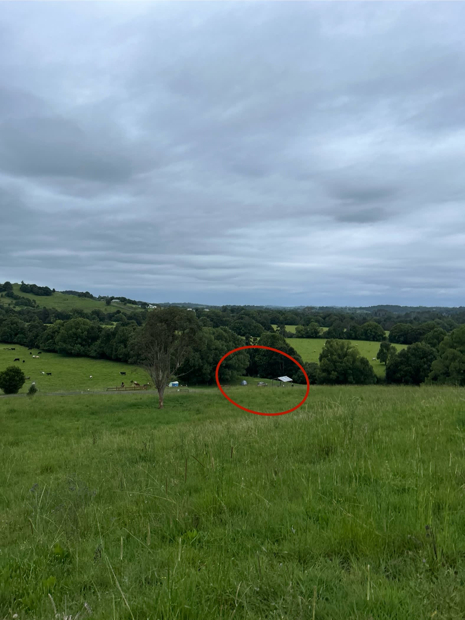 from our walk up the hill next to the site! circle is the campsite :)