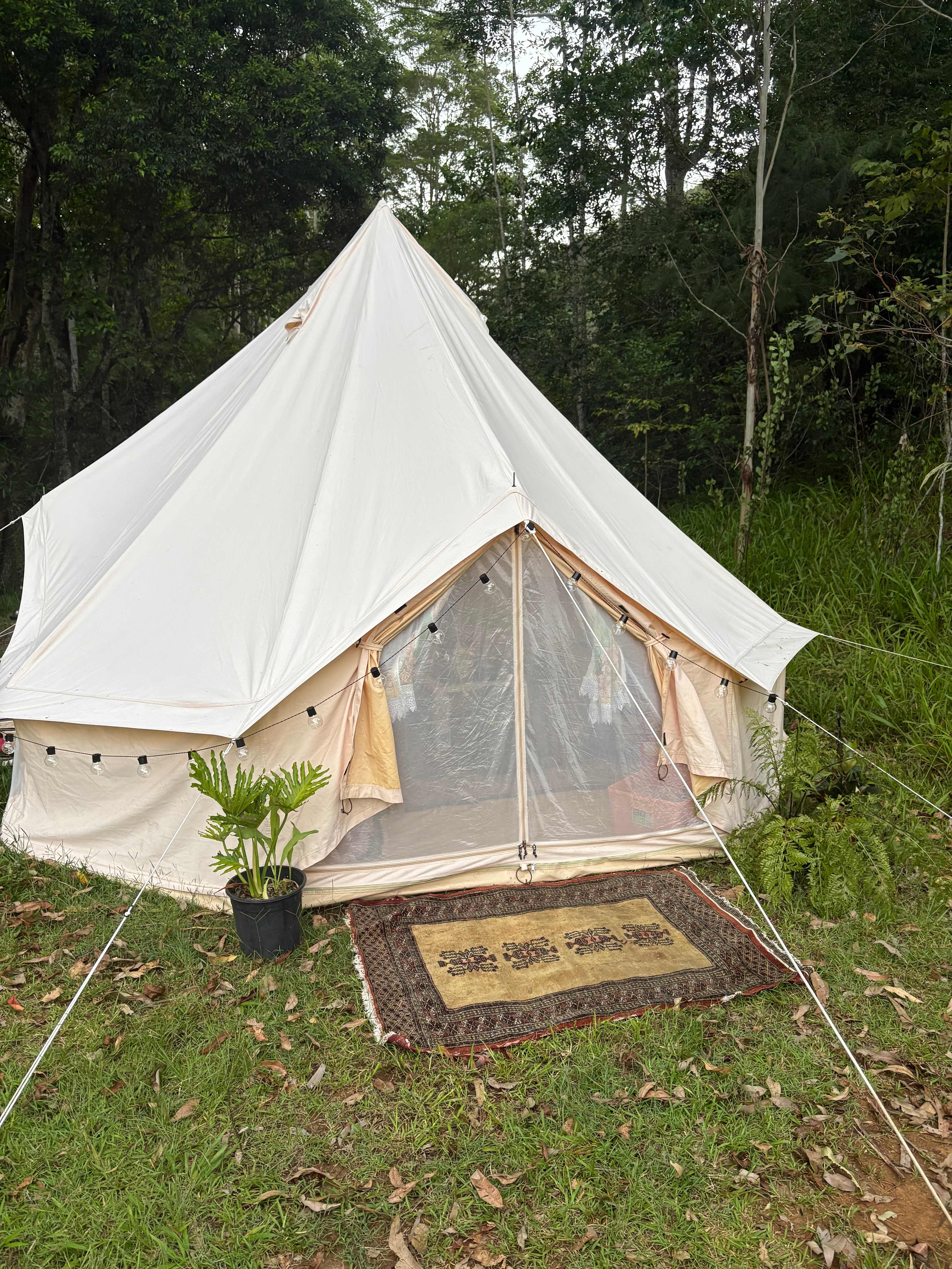 Cedar Waters Regen. Living Hub