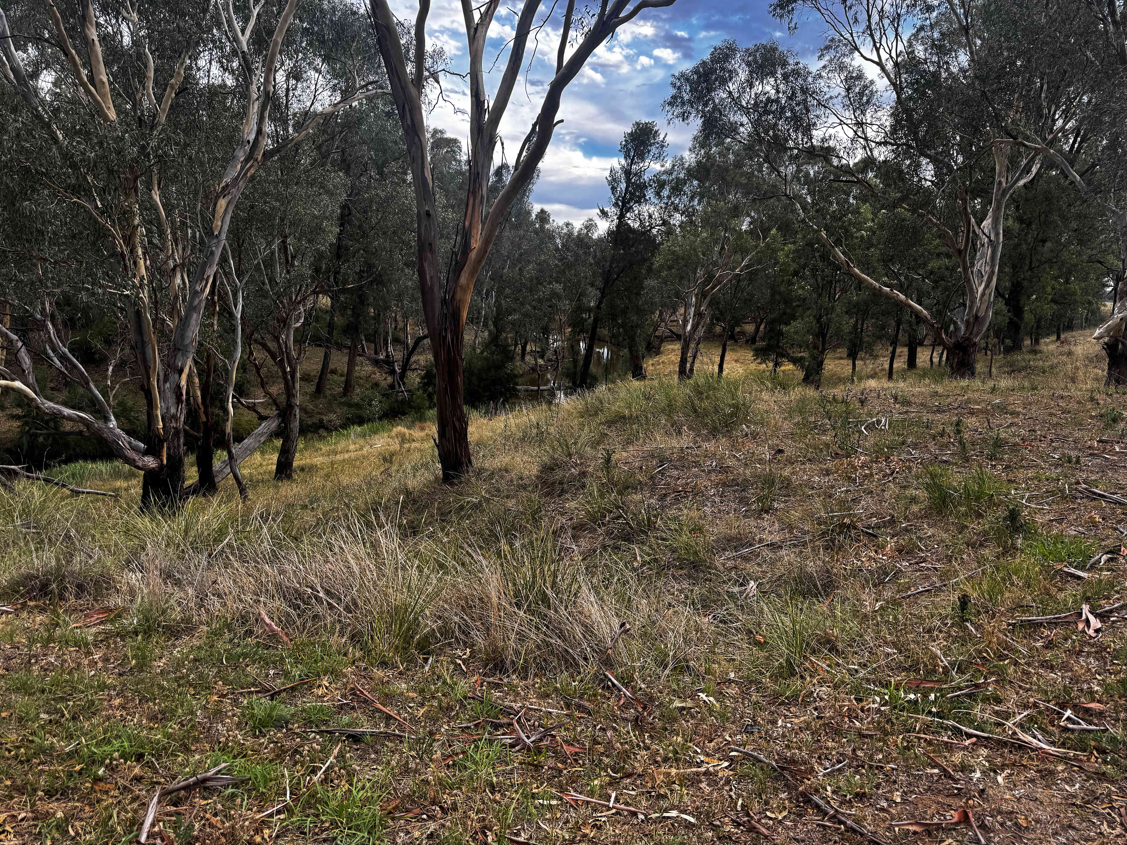 Cadagi Farm Stay in Central West NSW