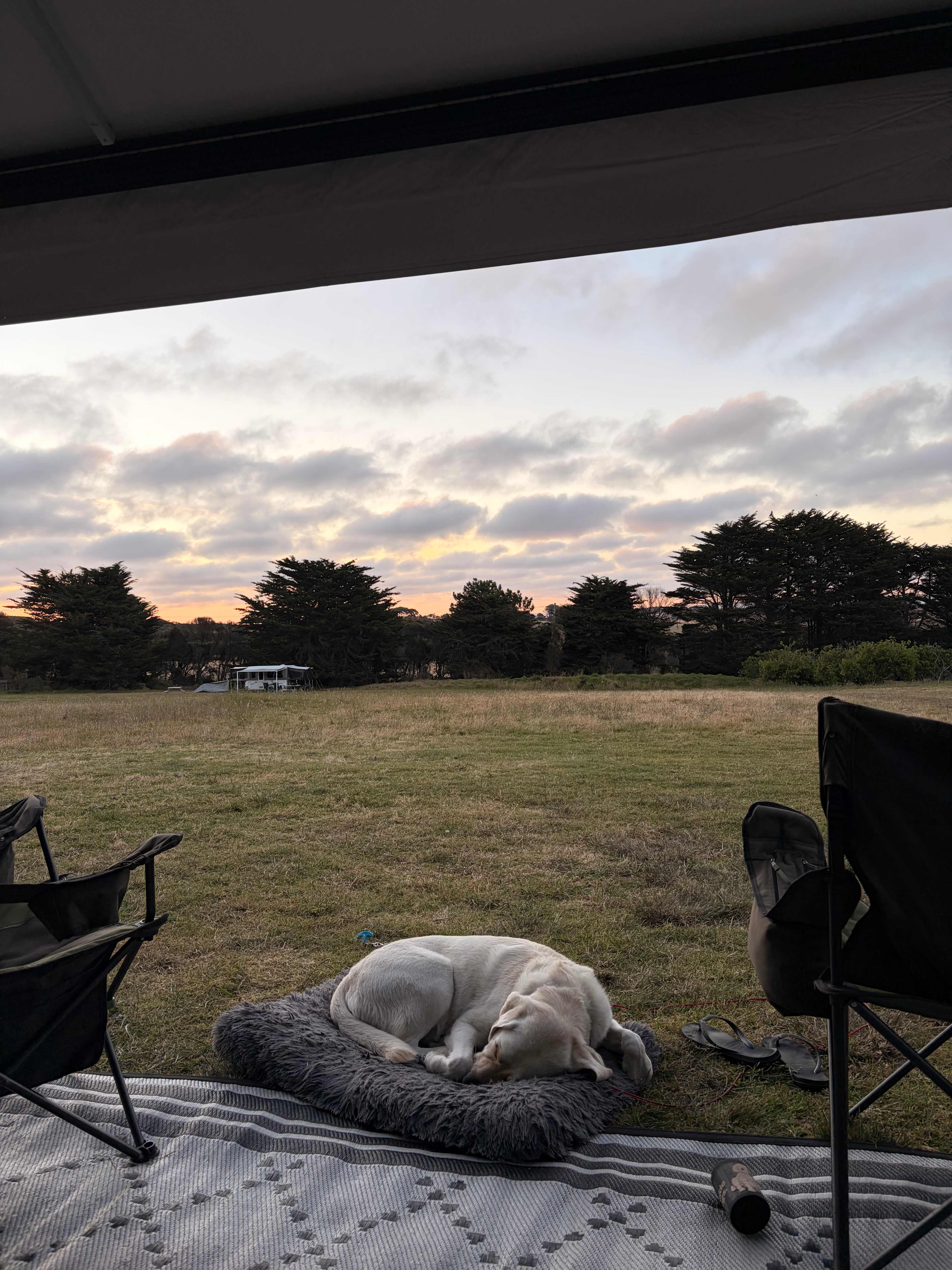 Site 2 looking down the hill. 
