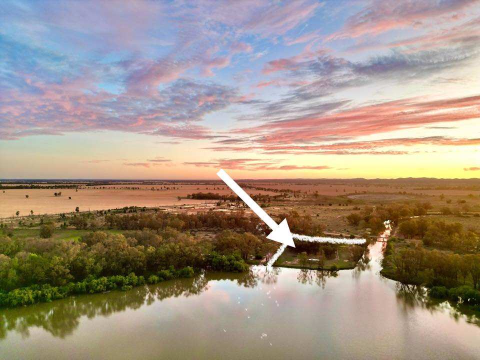 Curlew Camp - Birds & Fishing