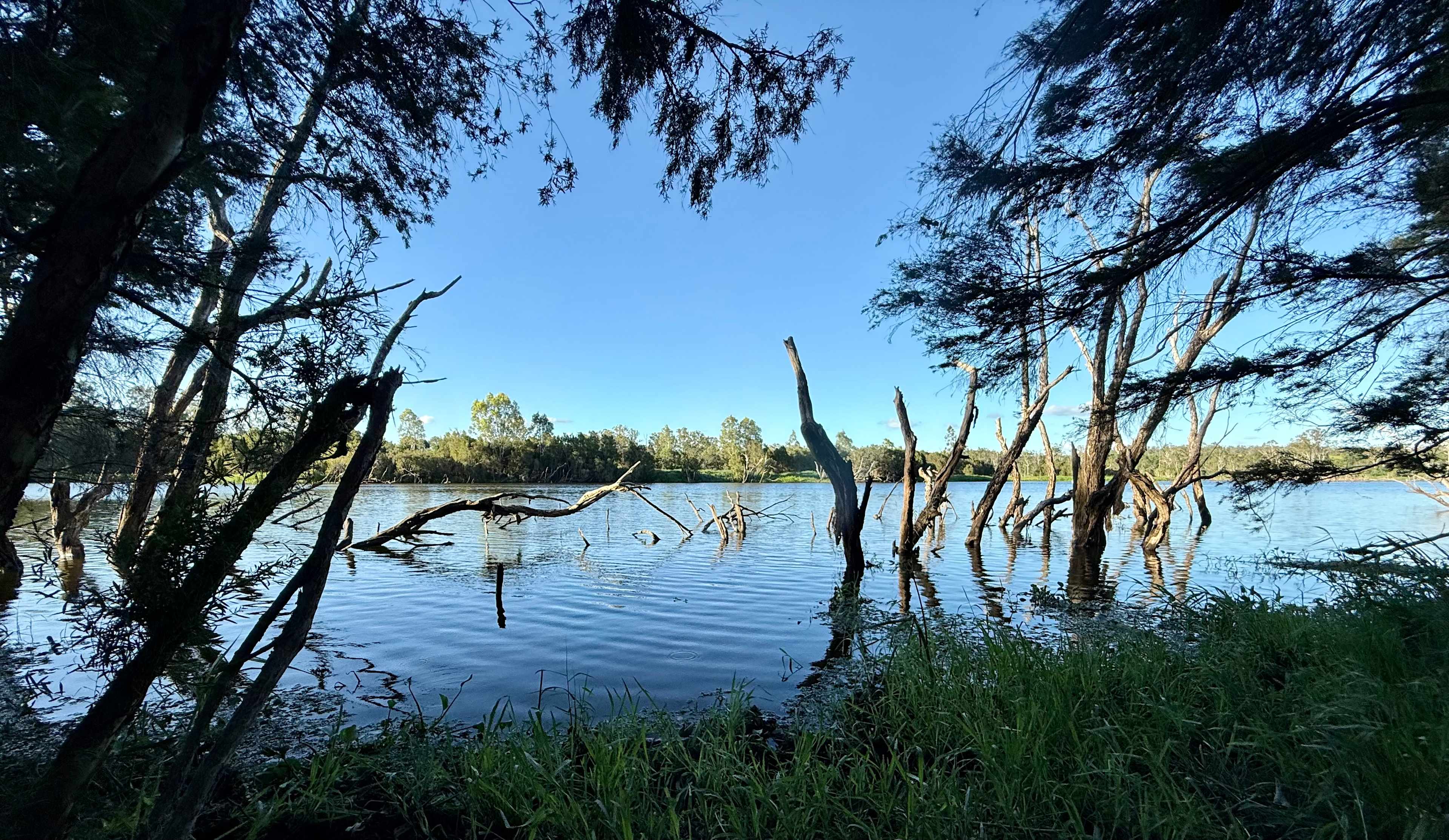 Paradise Lost on the Burnett