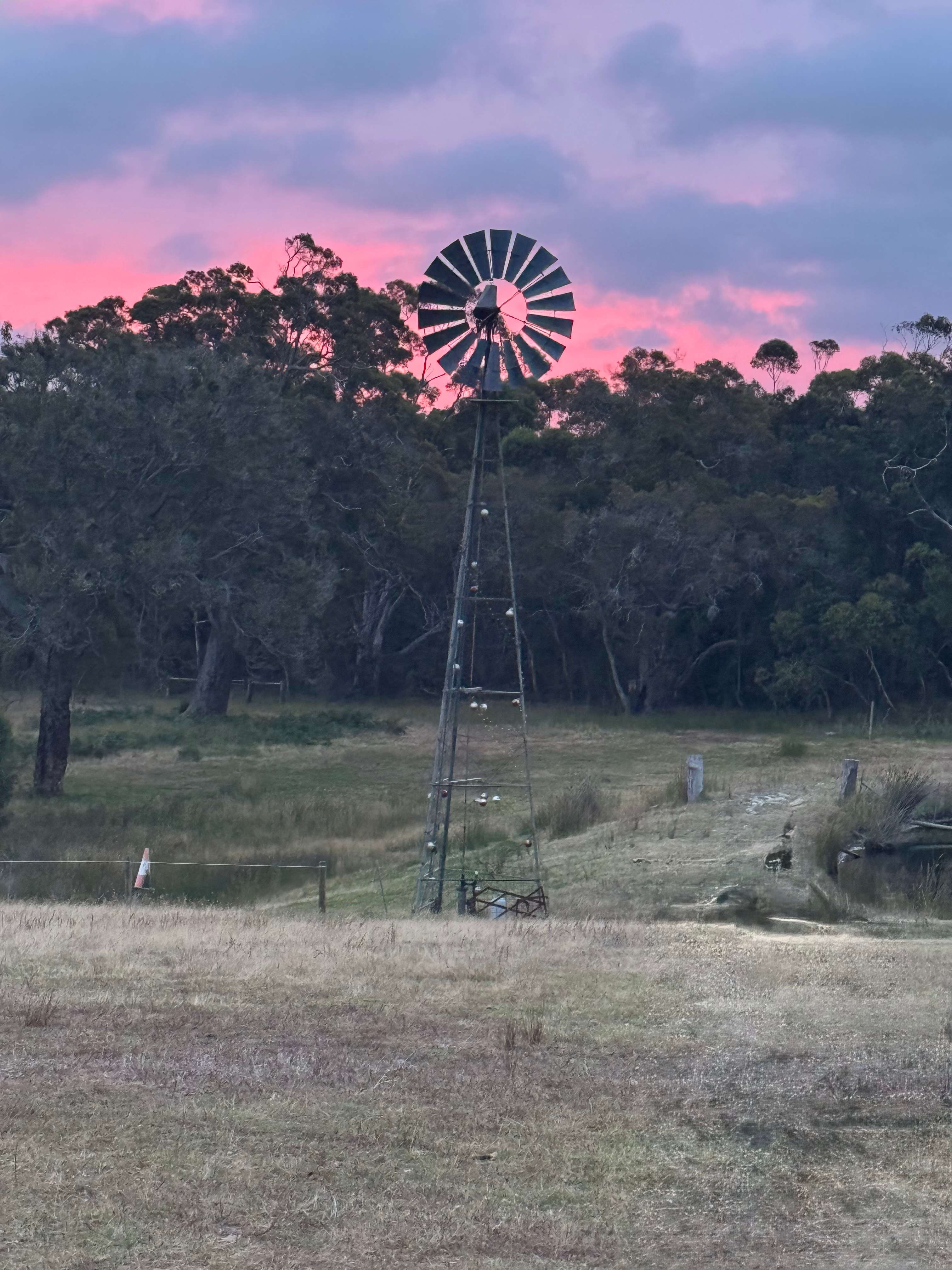 Fairy Floss Skies at Sunset