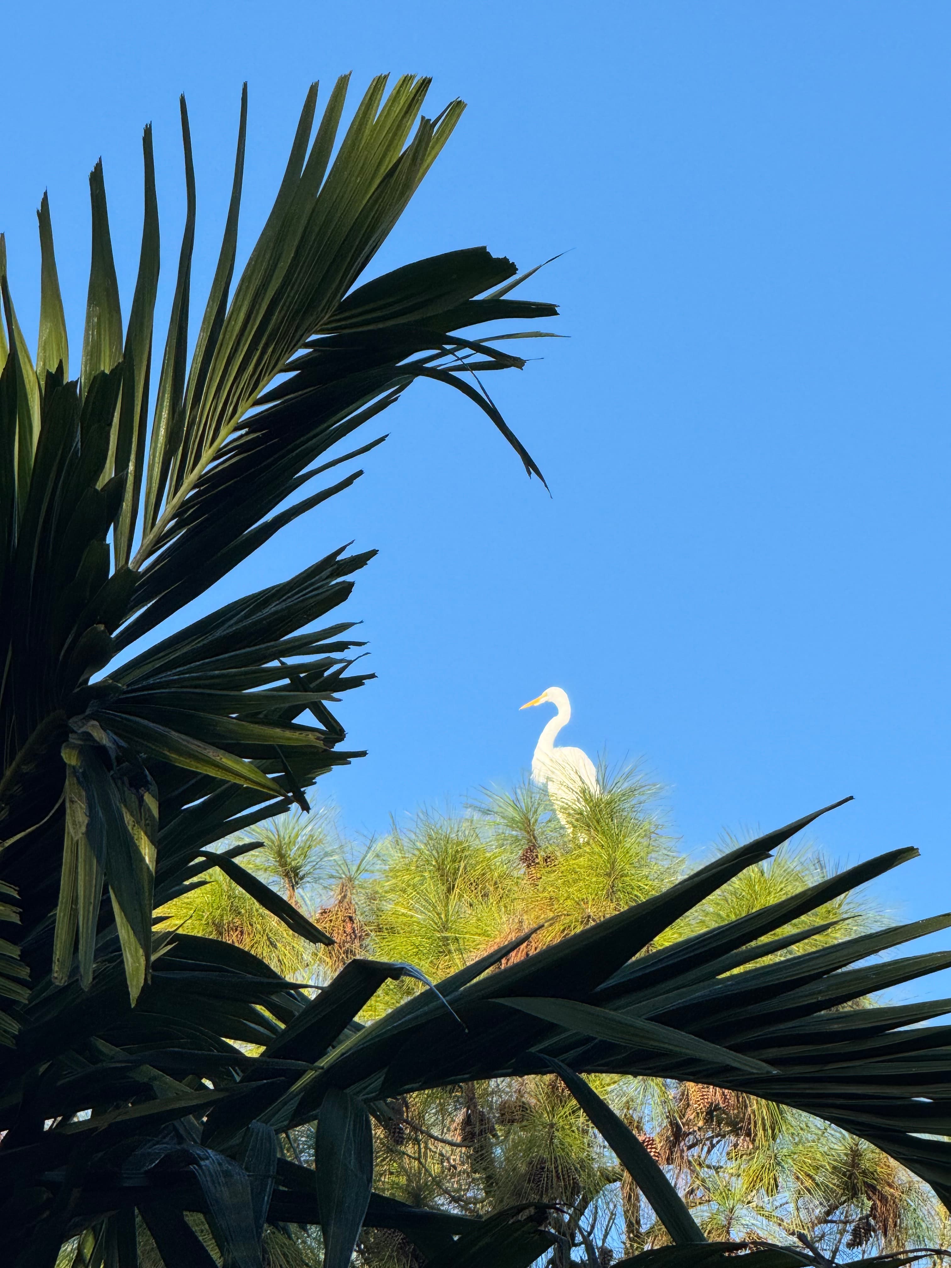 RV Campsite with Pool & Hot Tub