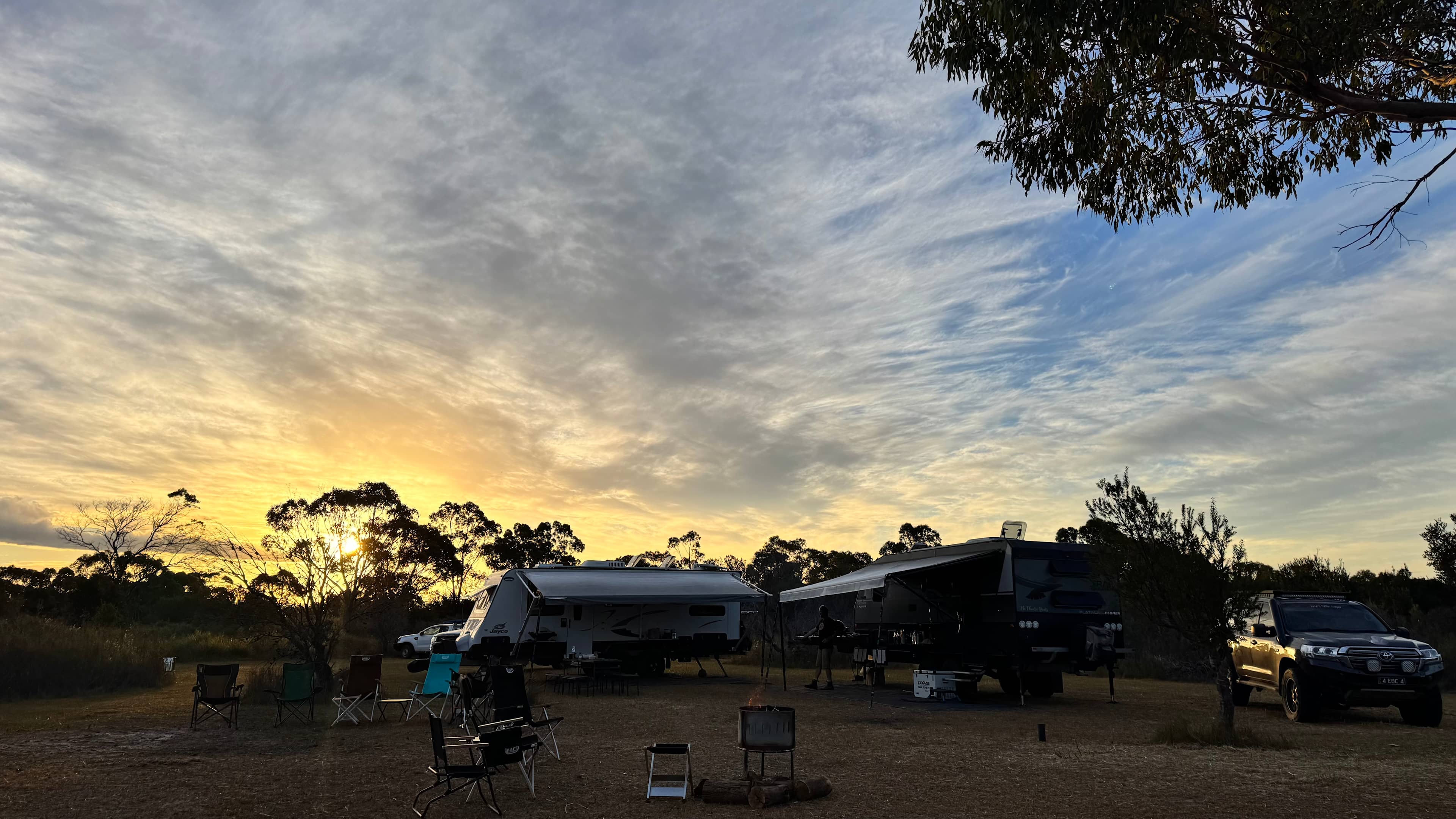 Sunset Lomandra site.