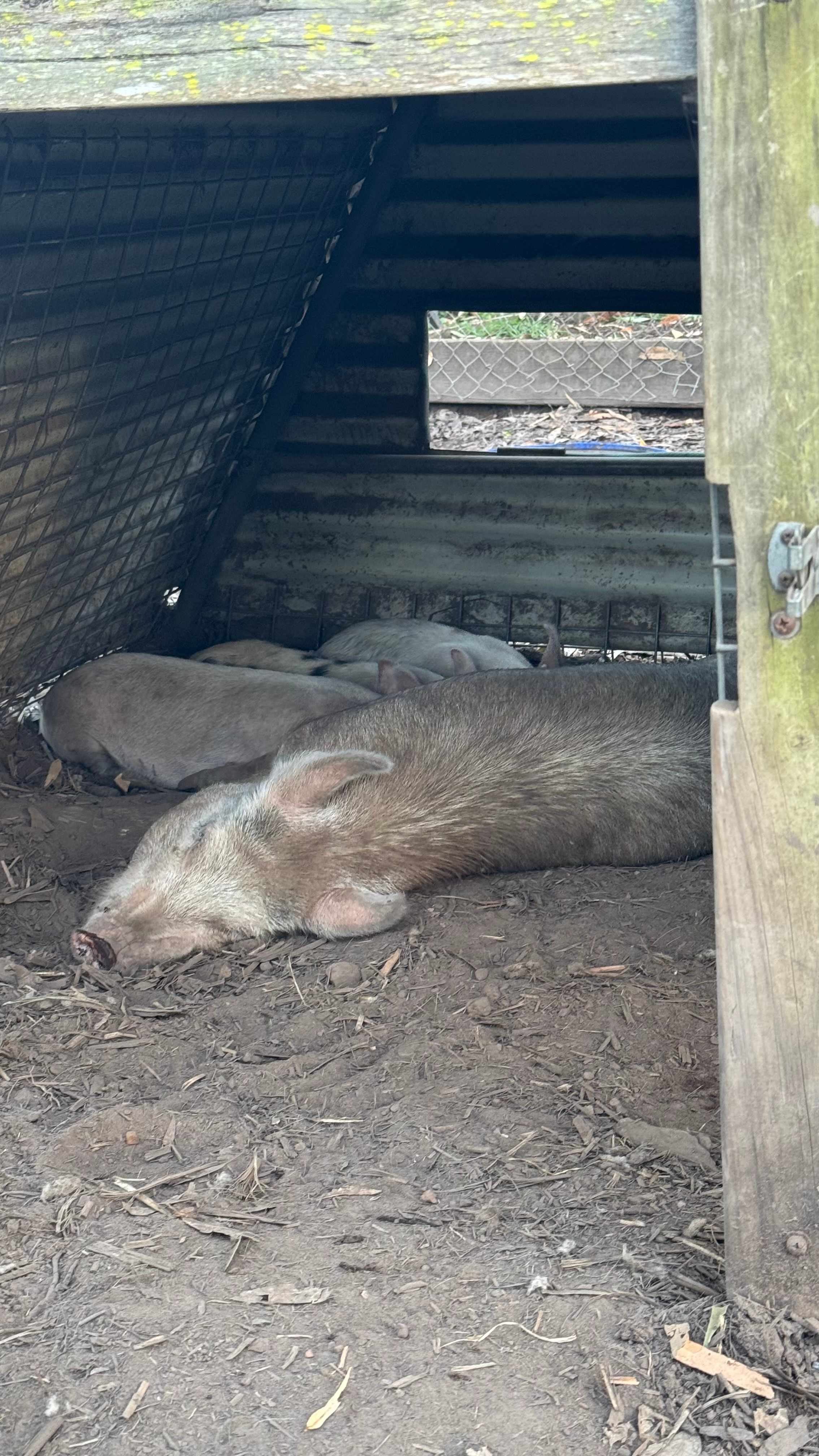 Paperbark Camp & Farm Stay