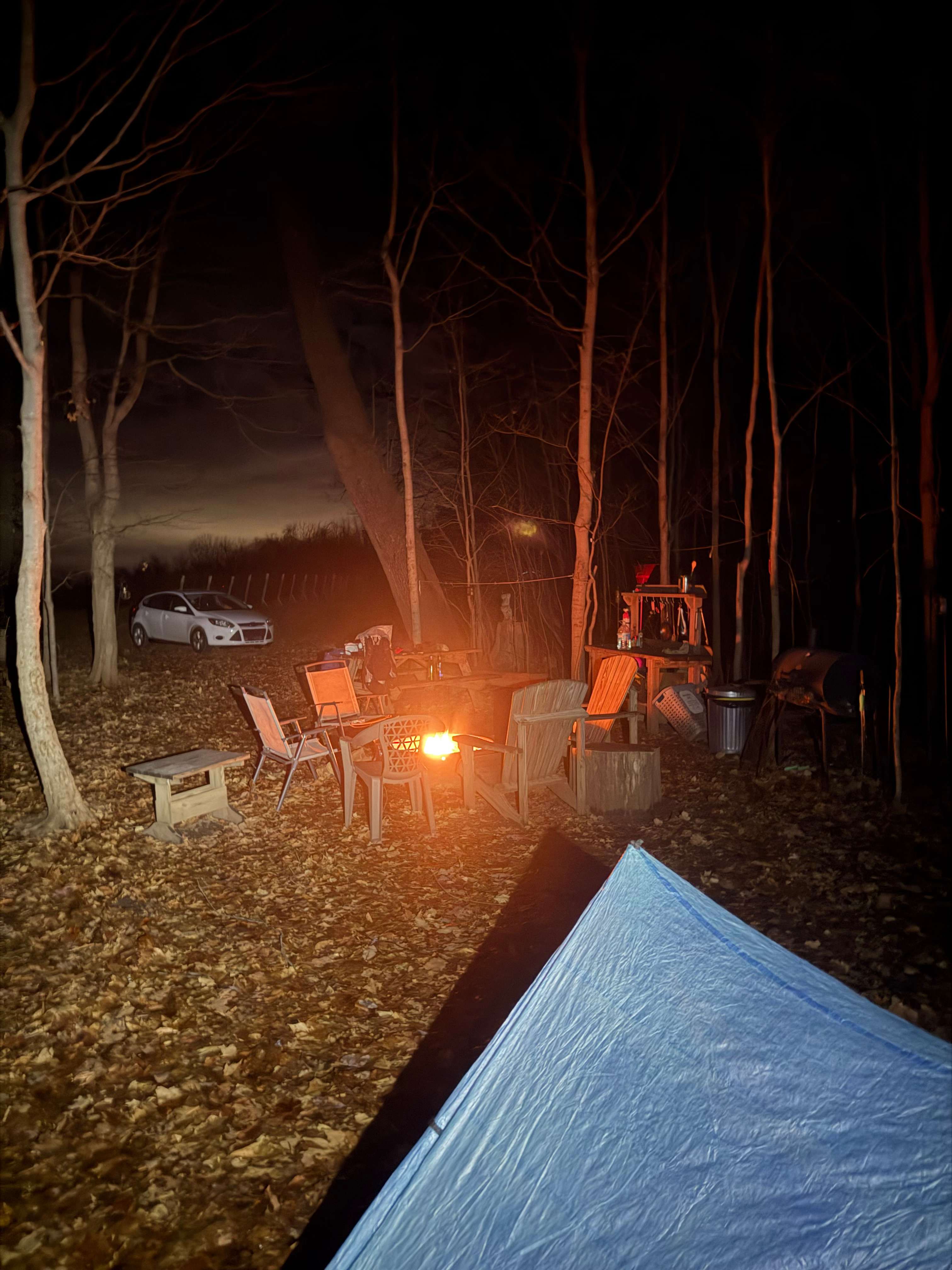 Mulln-Heim Vineyards