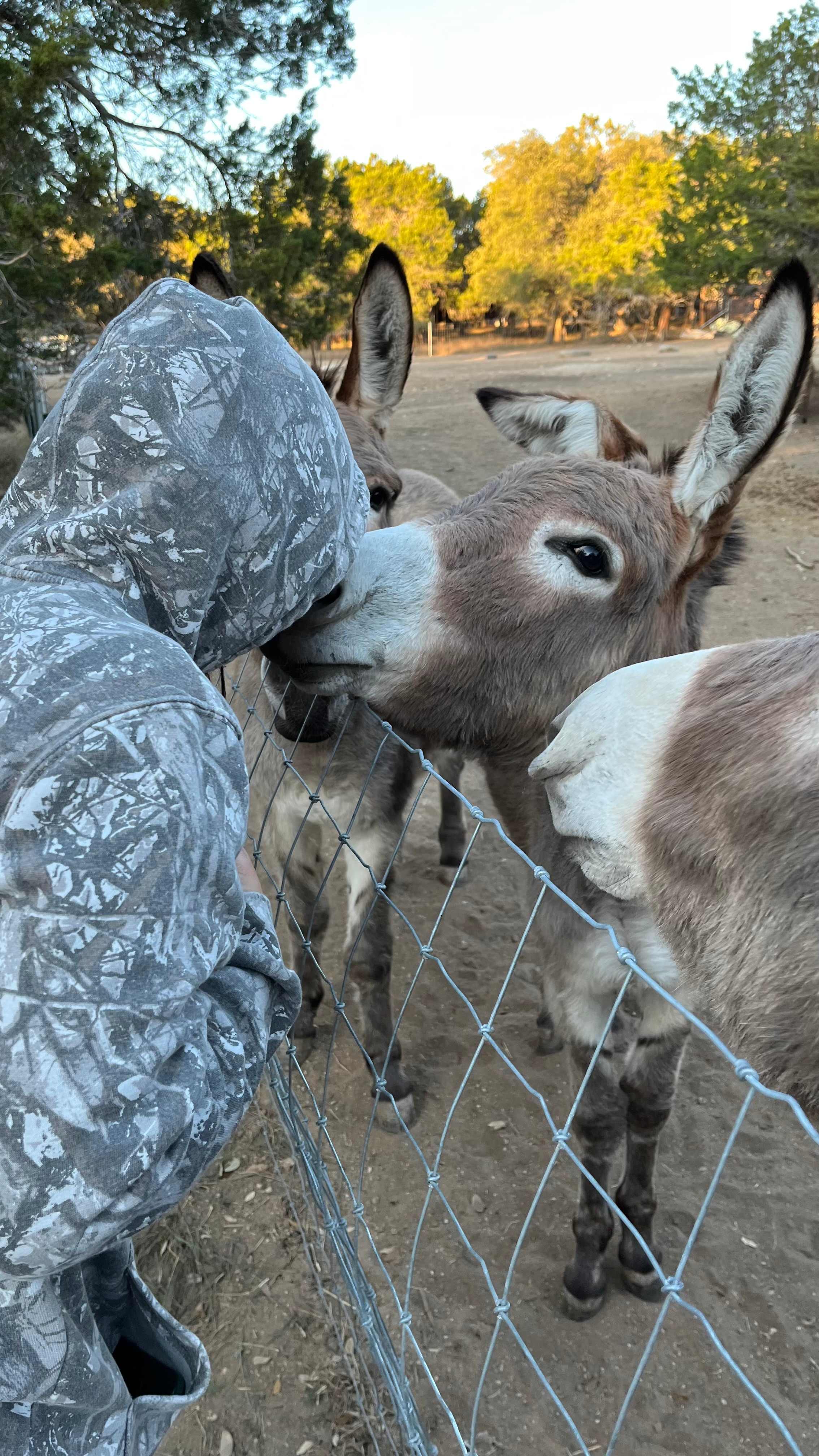 Camping Near Hamilton Pool