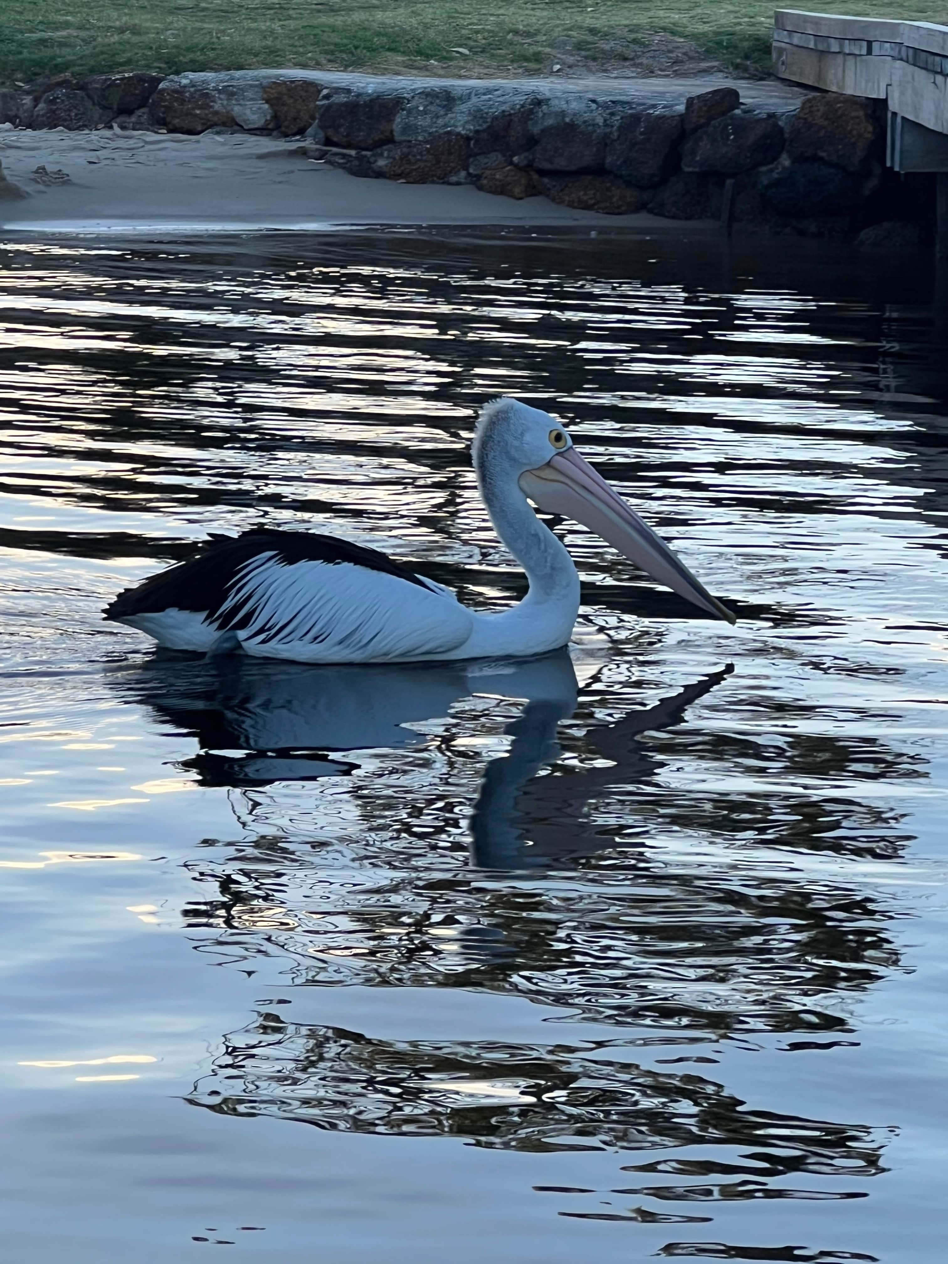 Walpole Rest Point Caravan Park