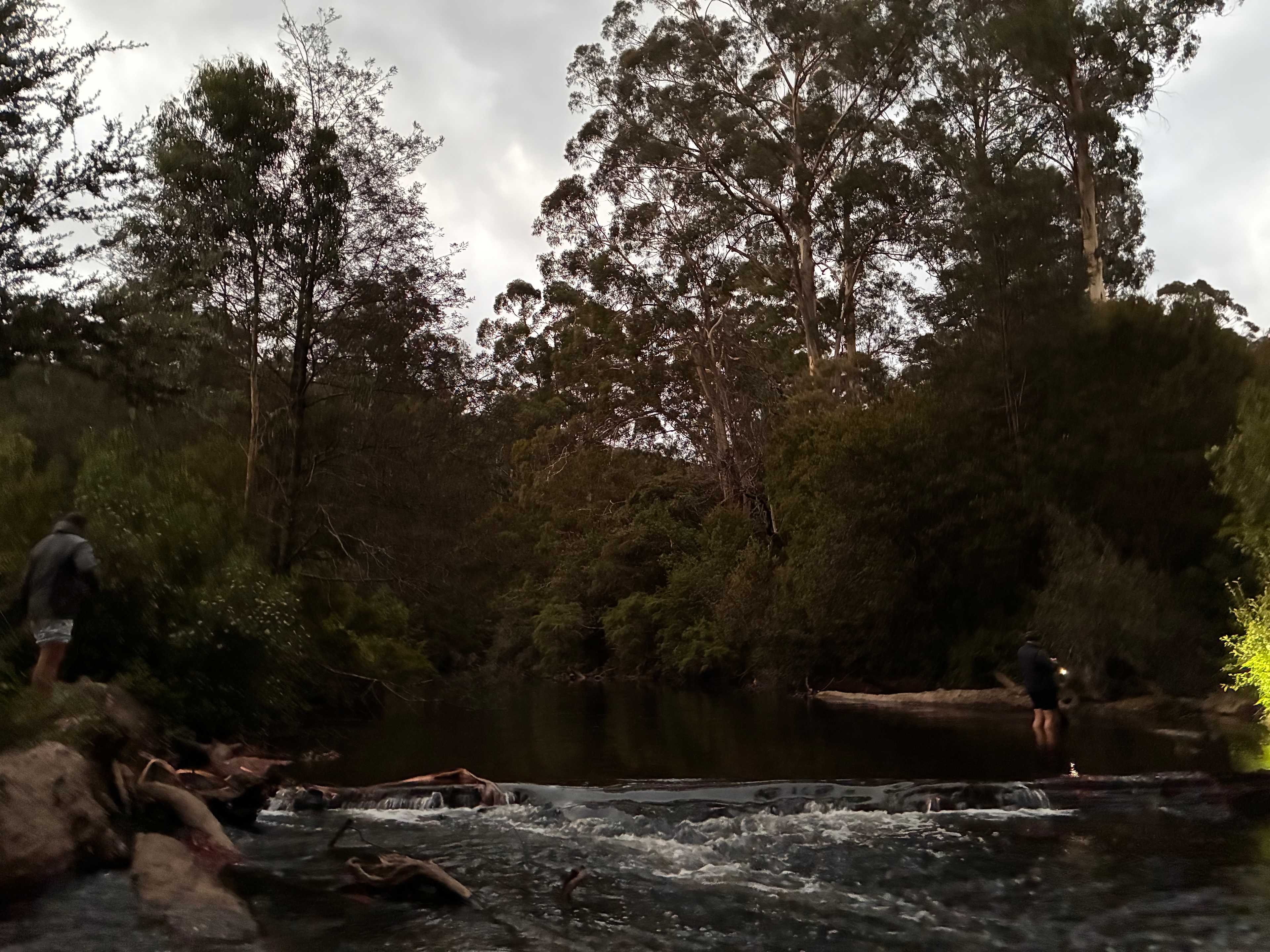 Hazelnut Valley Farm Stay