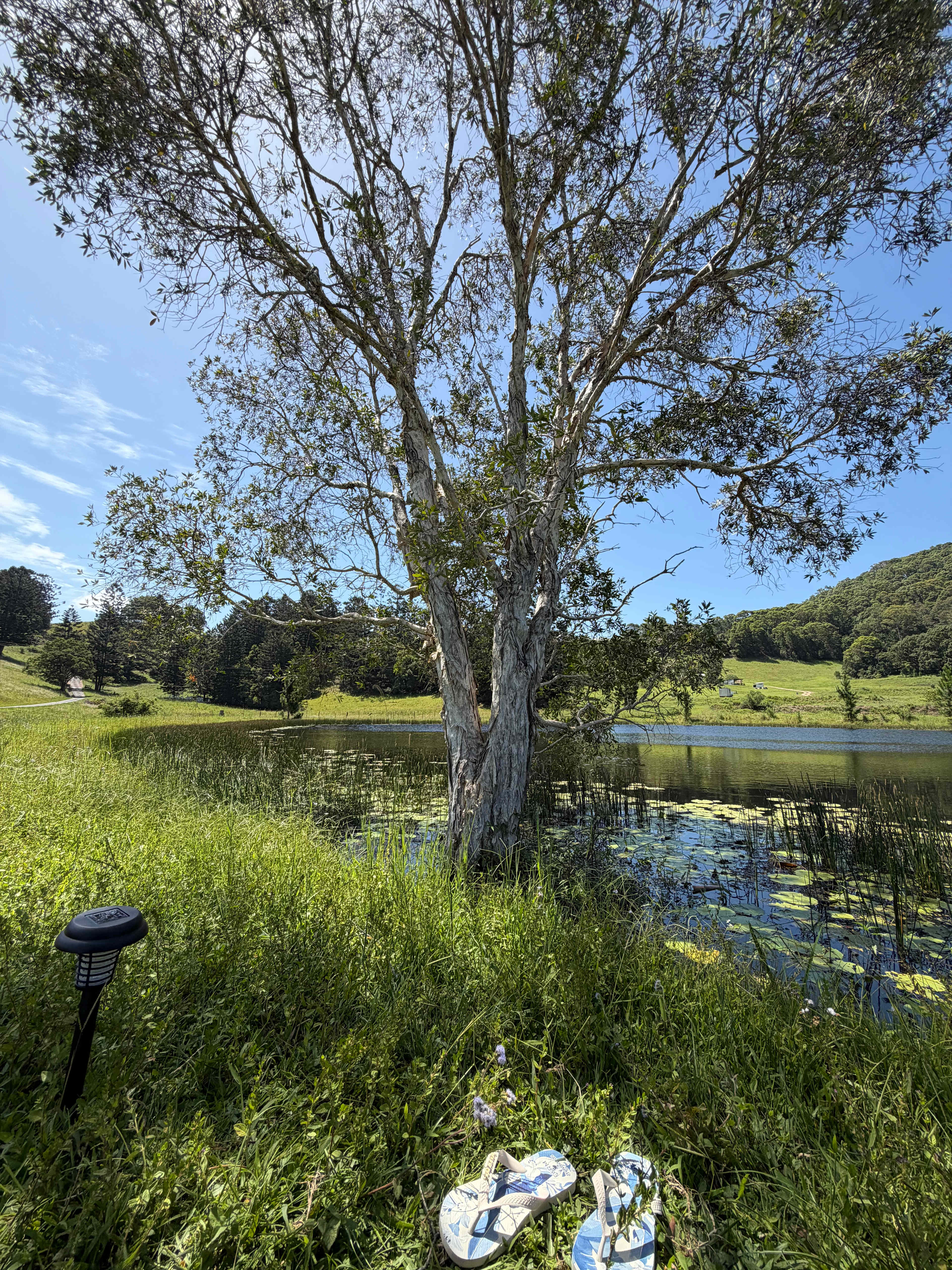 "JALUM" Undulating Farmland!
