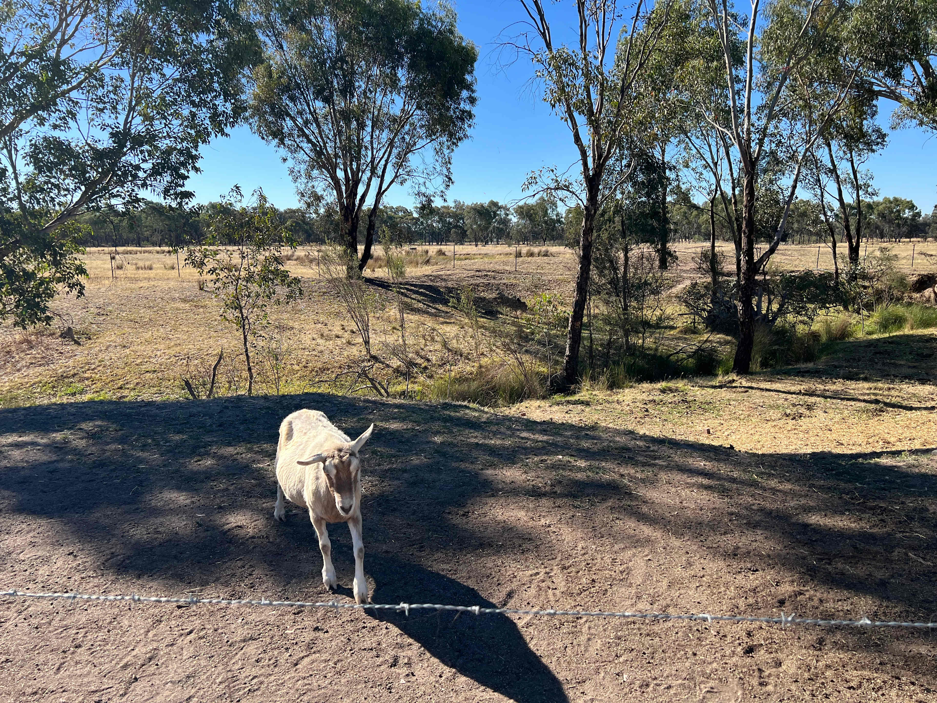 Retreat to Granite Springs Farmstay
