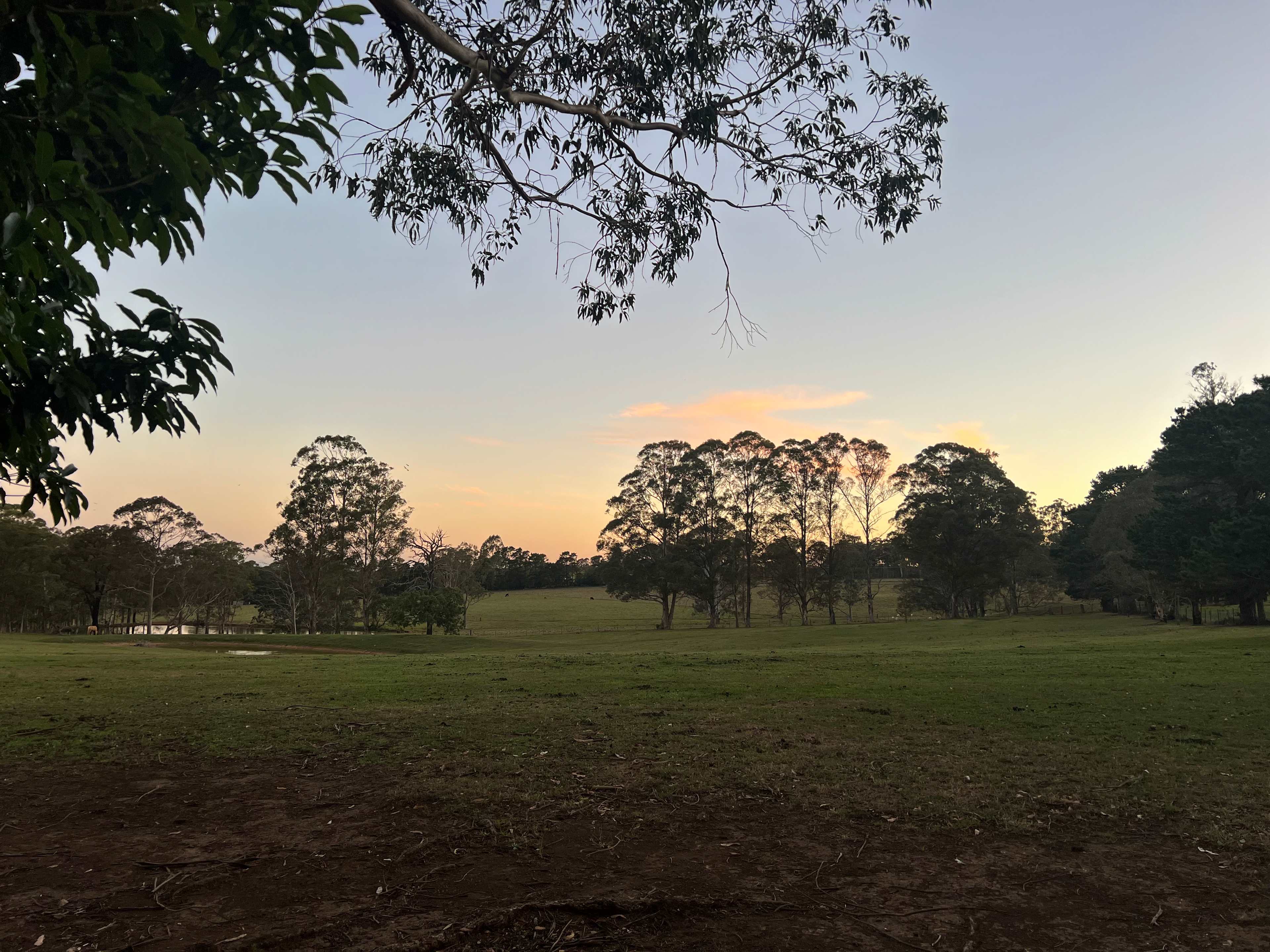 Melon Green at Oakdale