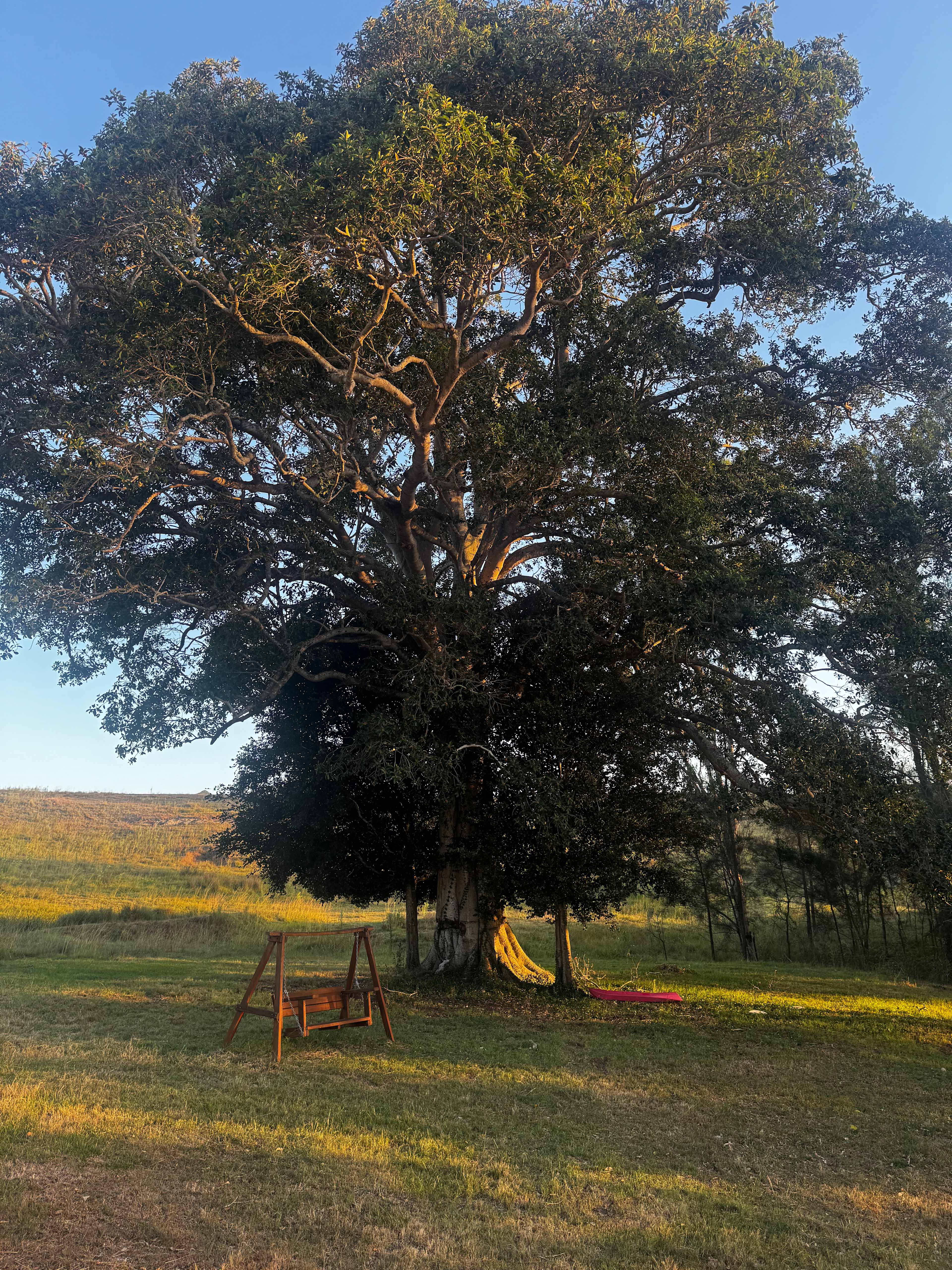 Riverview Lodge Glamping