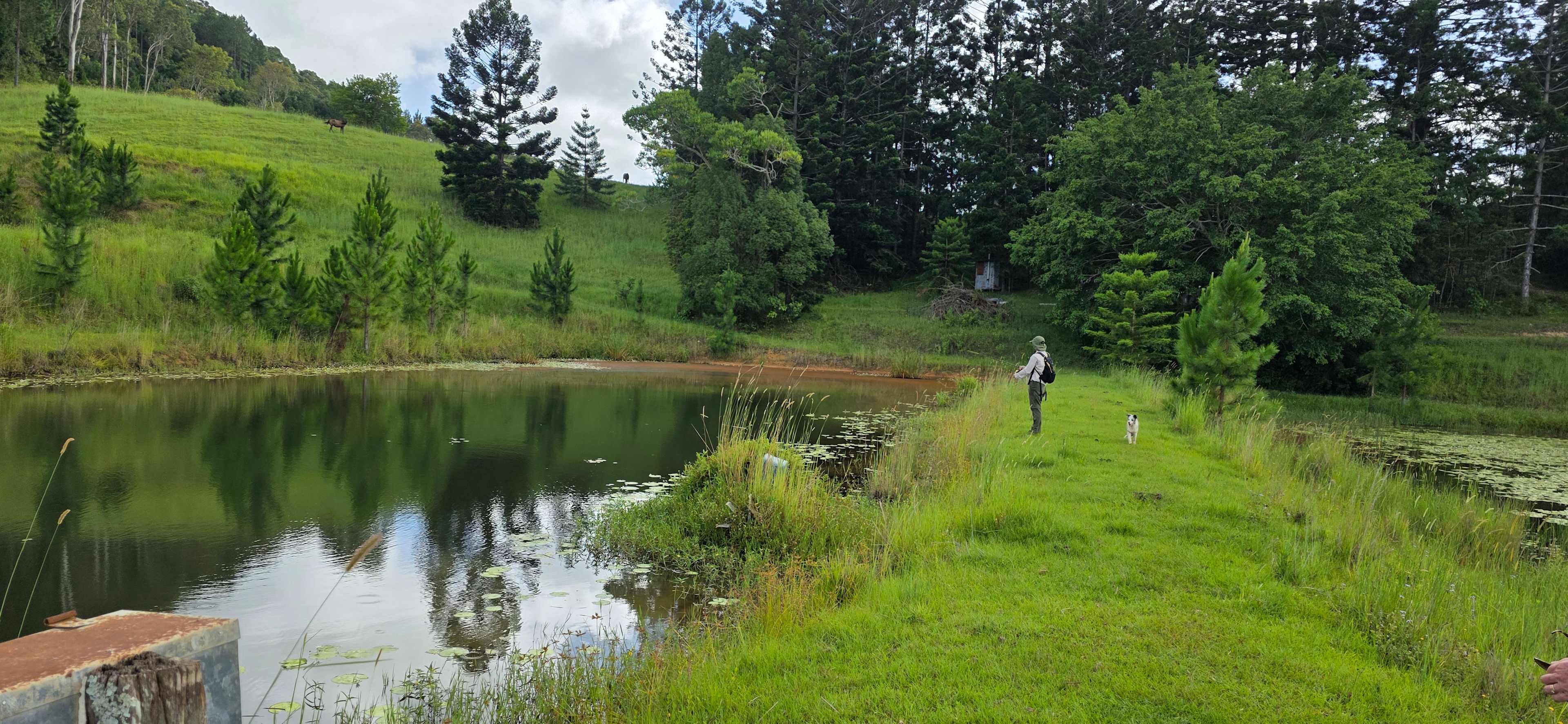 It was an old fish farm with a number of ponds on the property unfortunately we had no luck 