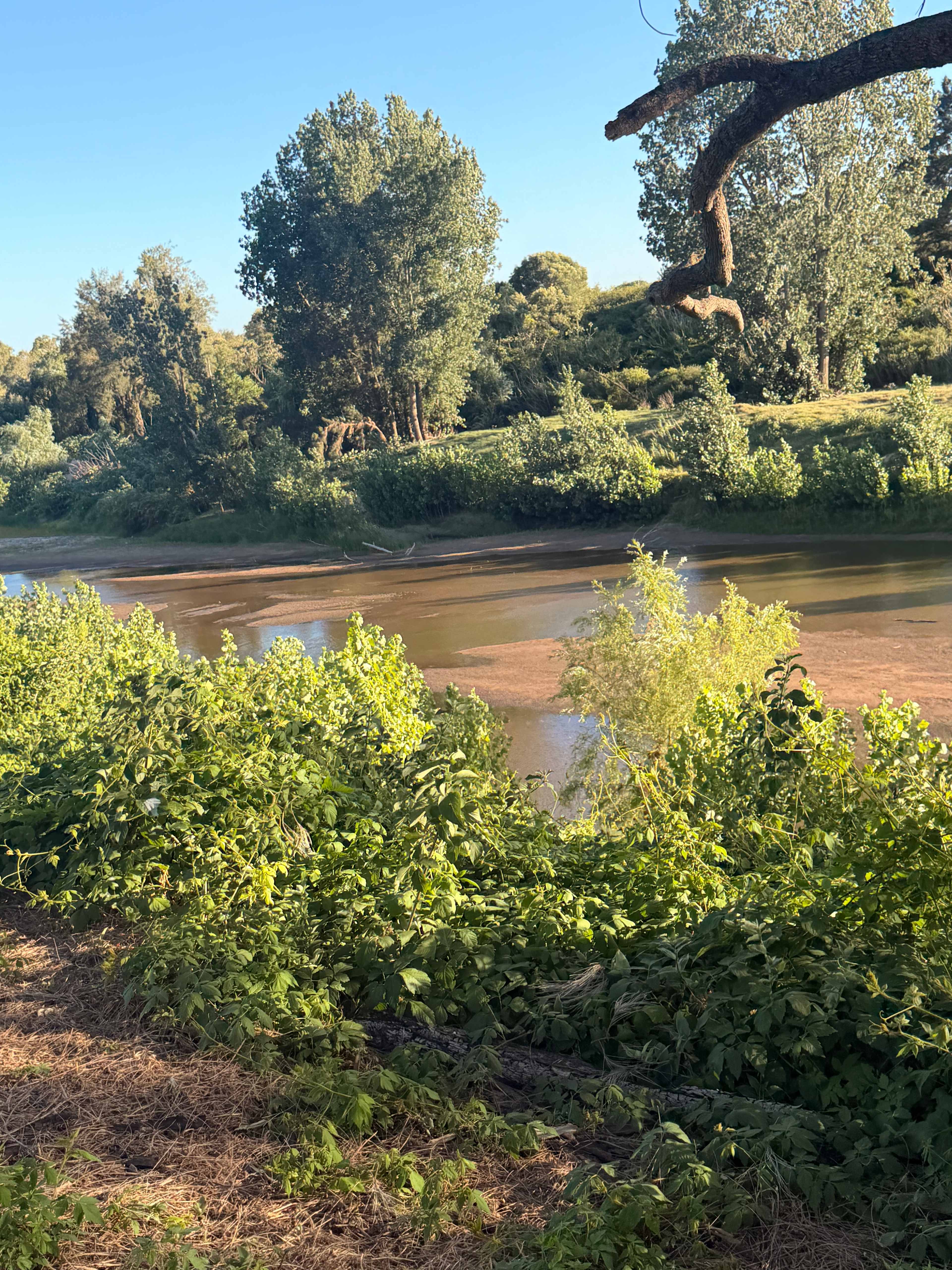 Rosebrook Eco Campgrounds