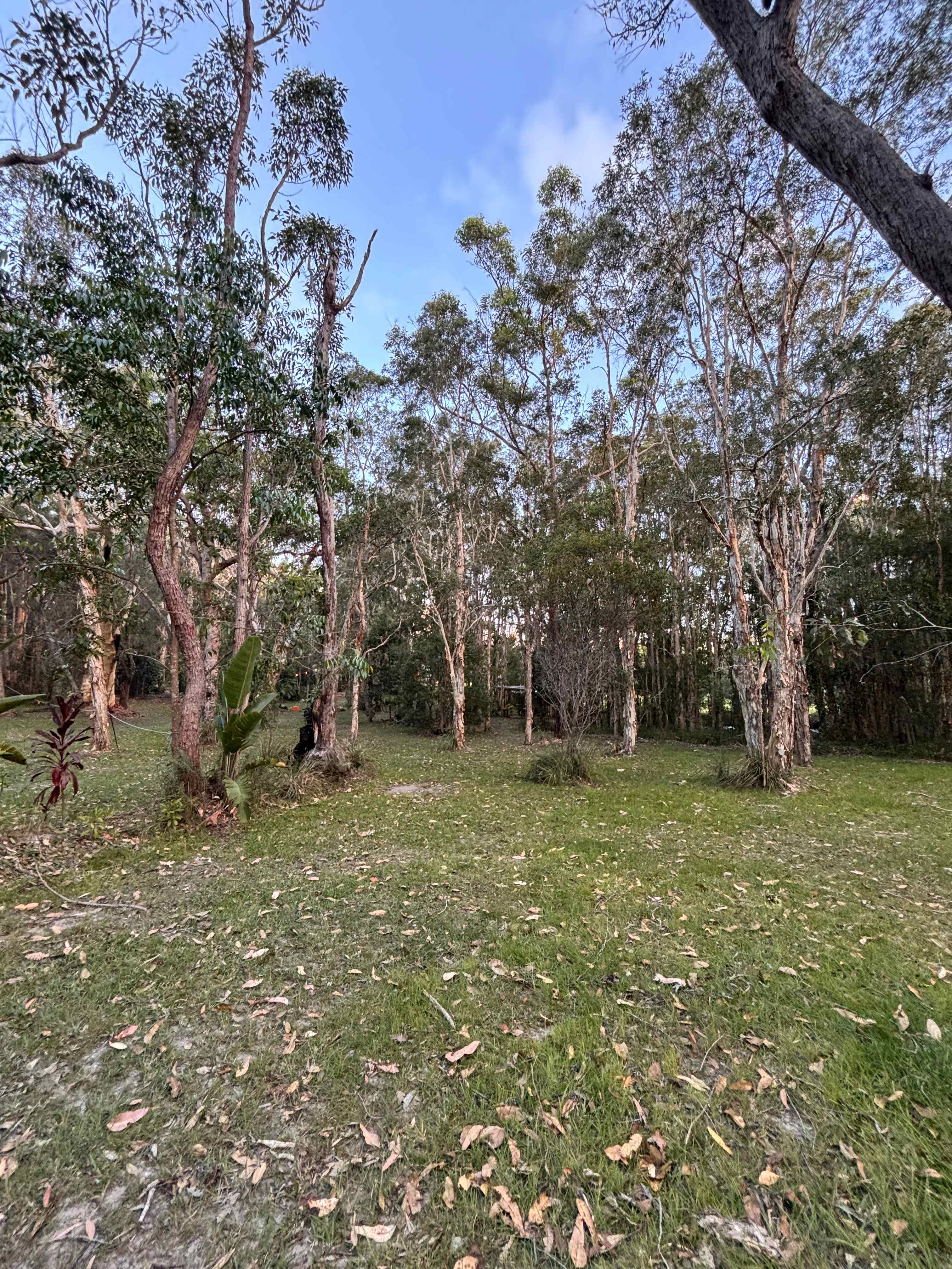 Noosa  Hinterland RV and Hip Camp