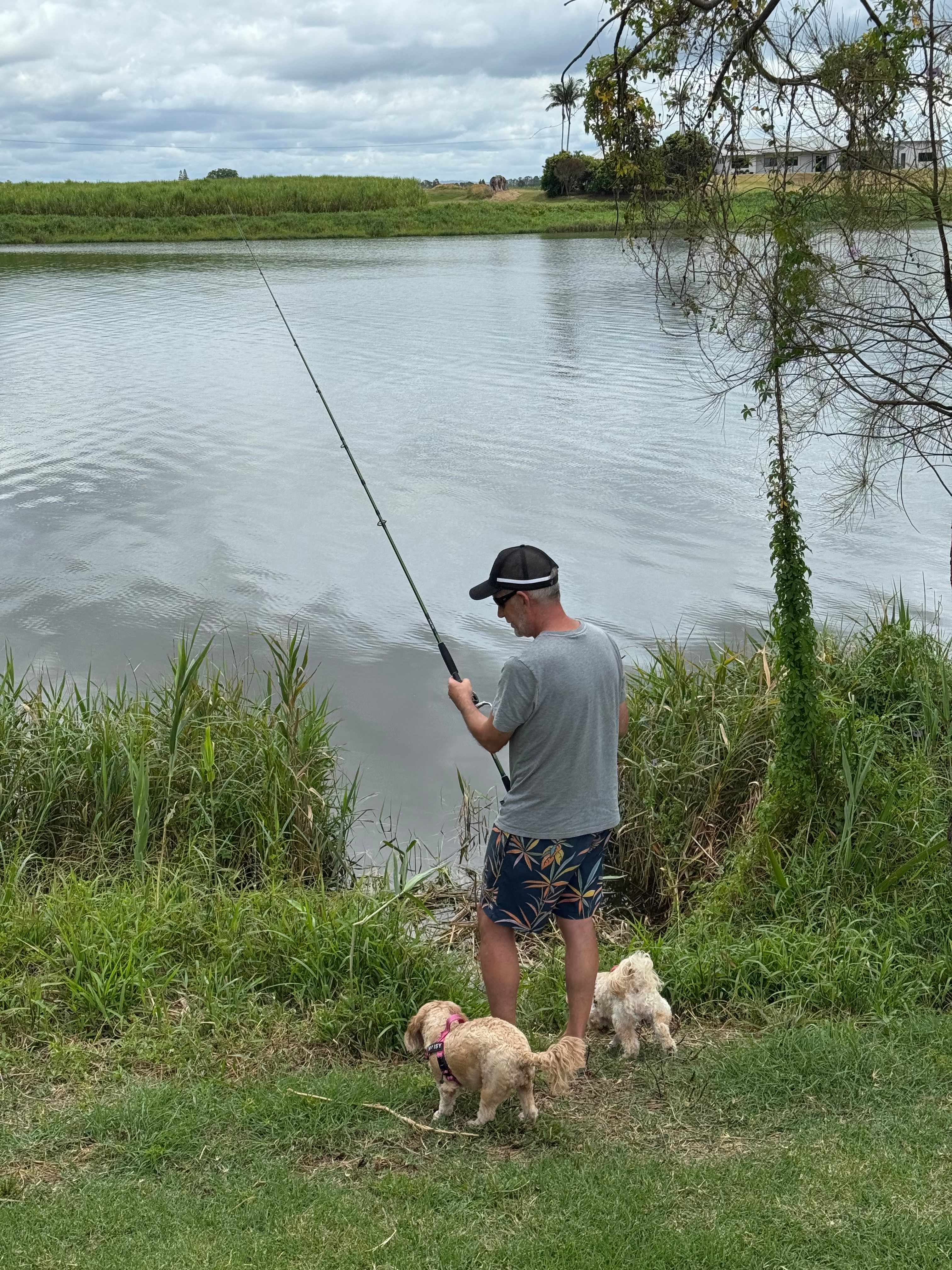 River terrace camping Cowper 2460