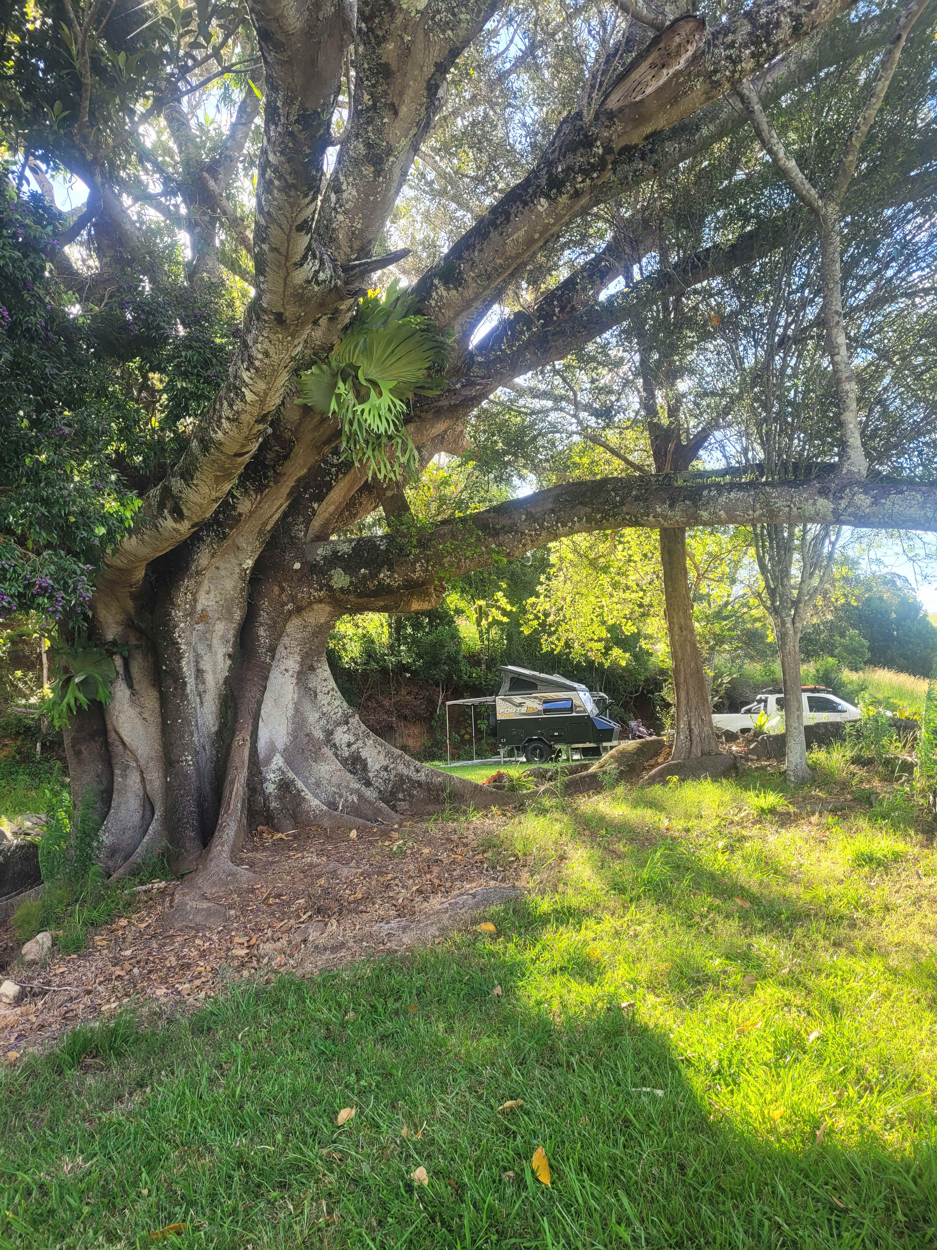 Tweed Valley - Doon Doon Farm
