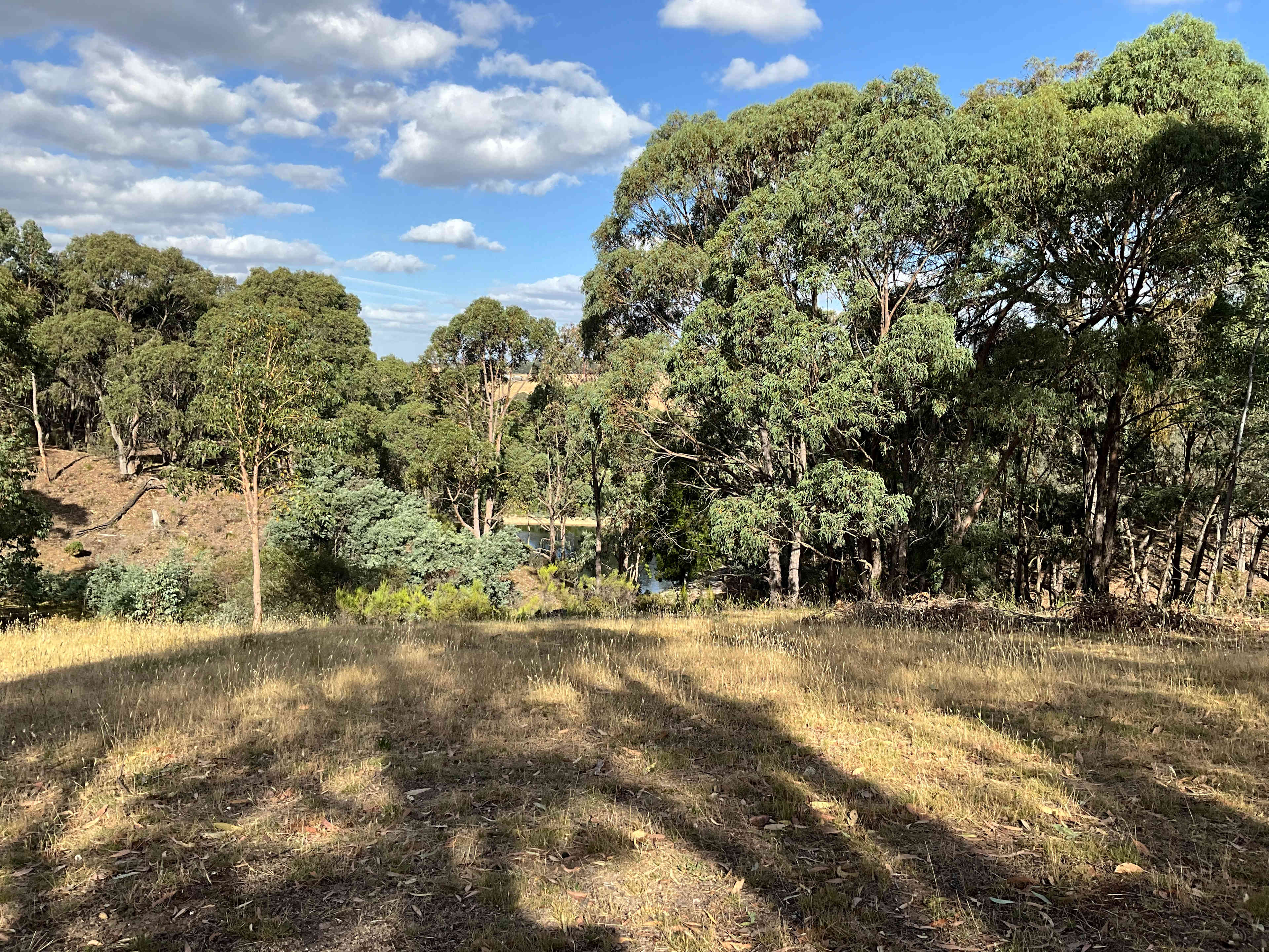 Lovely view of the dam