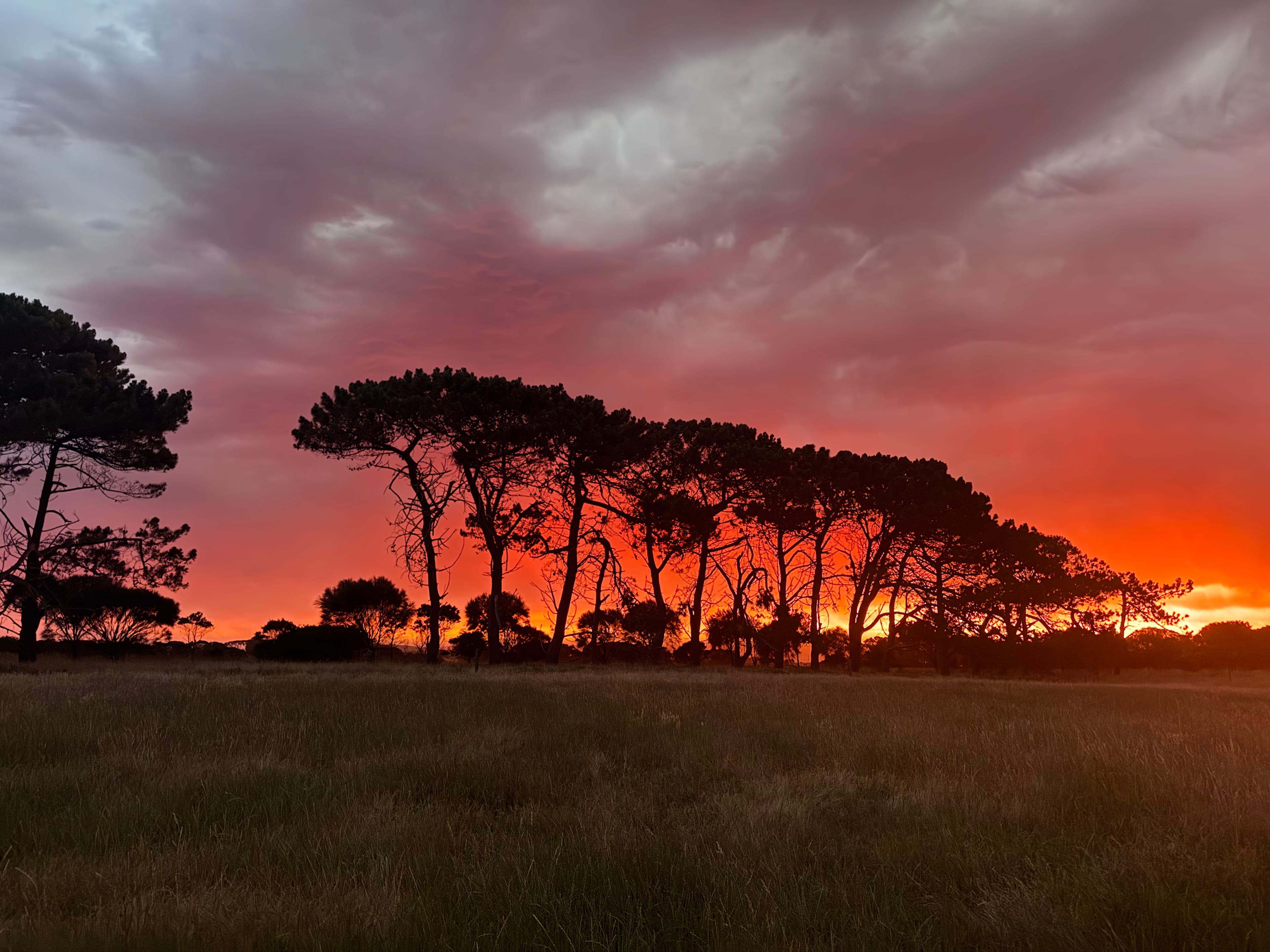 Sunset middle paddock