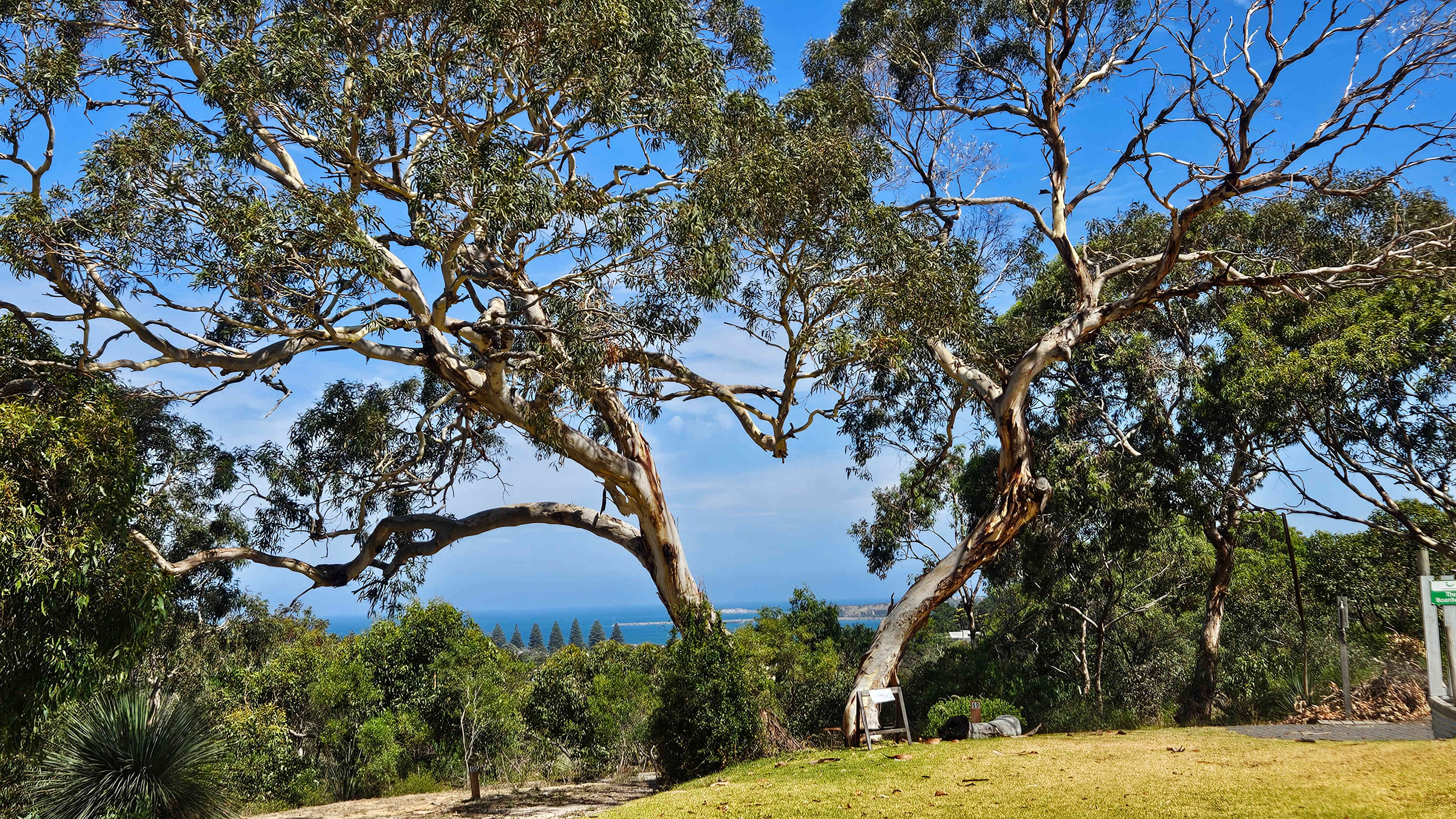 Cooinda Retreats - RV and Camp Stay
