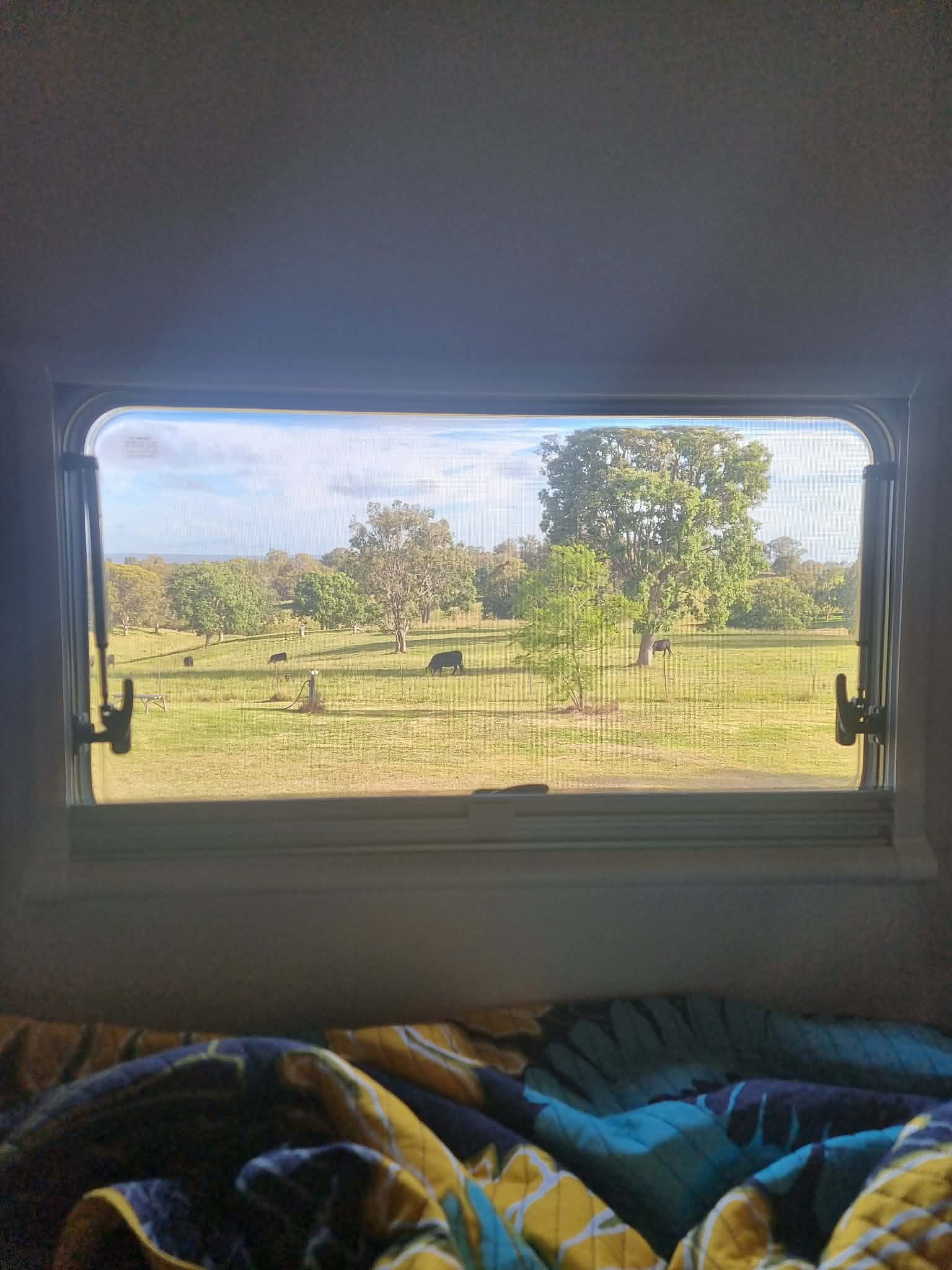 Aloomba Lavender Farm