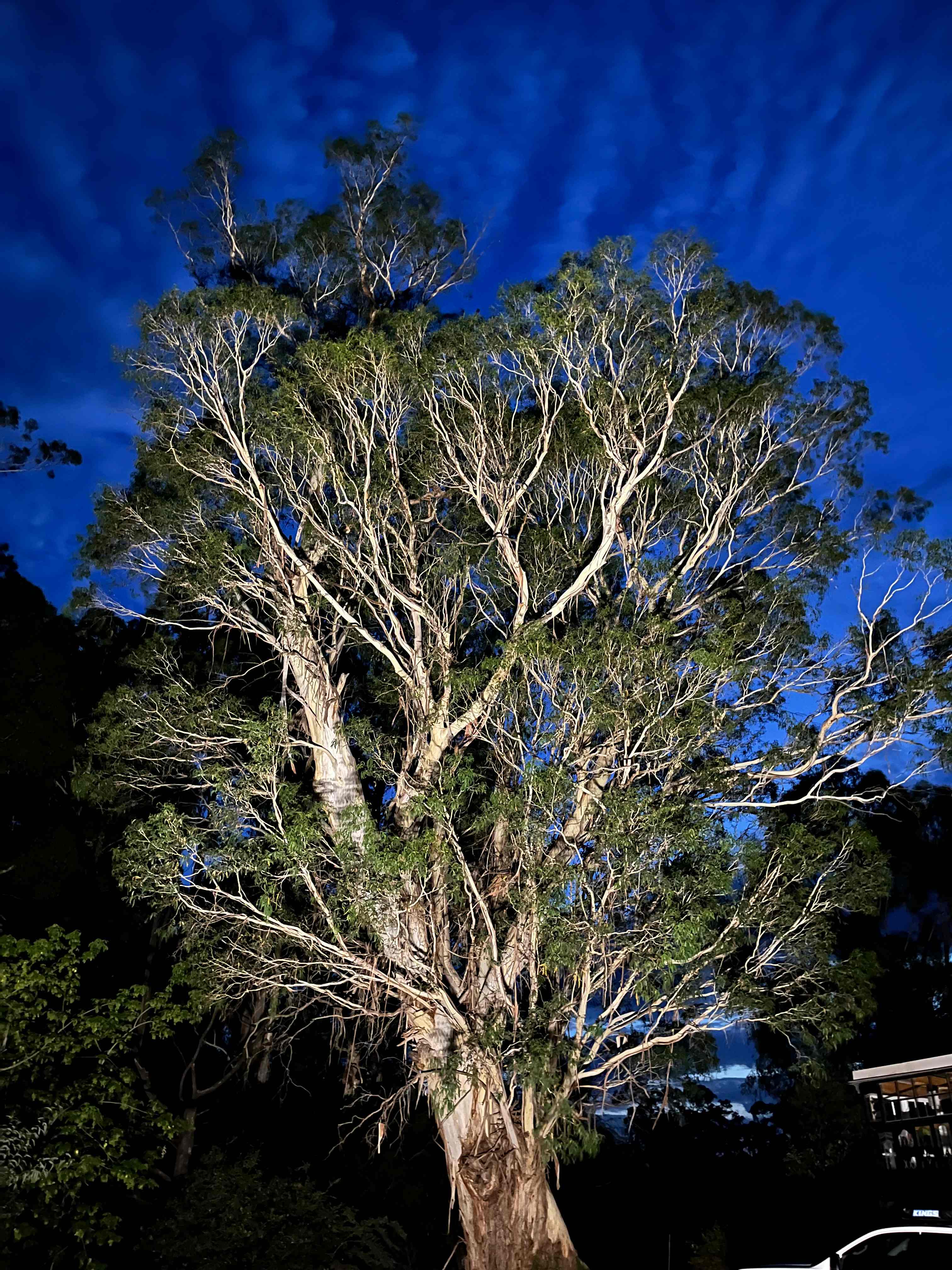 Casa Cucina / River House / Quirky