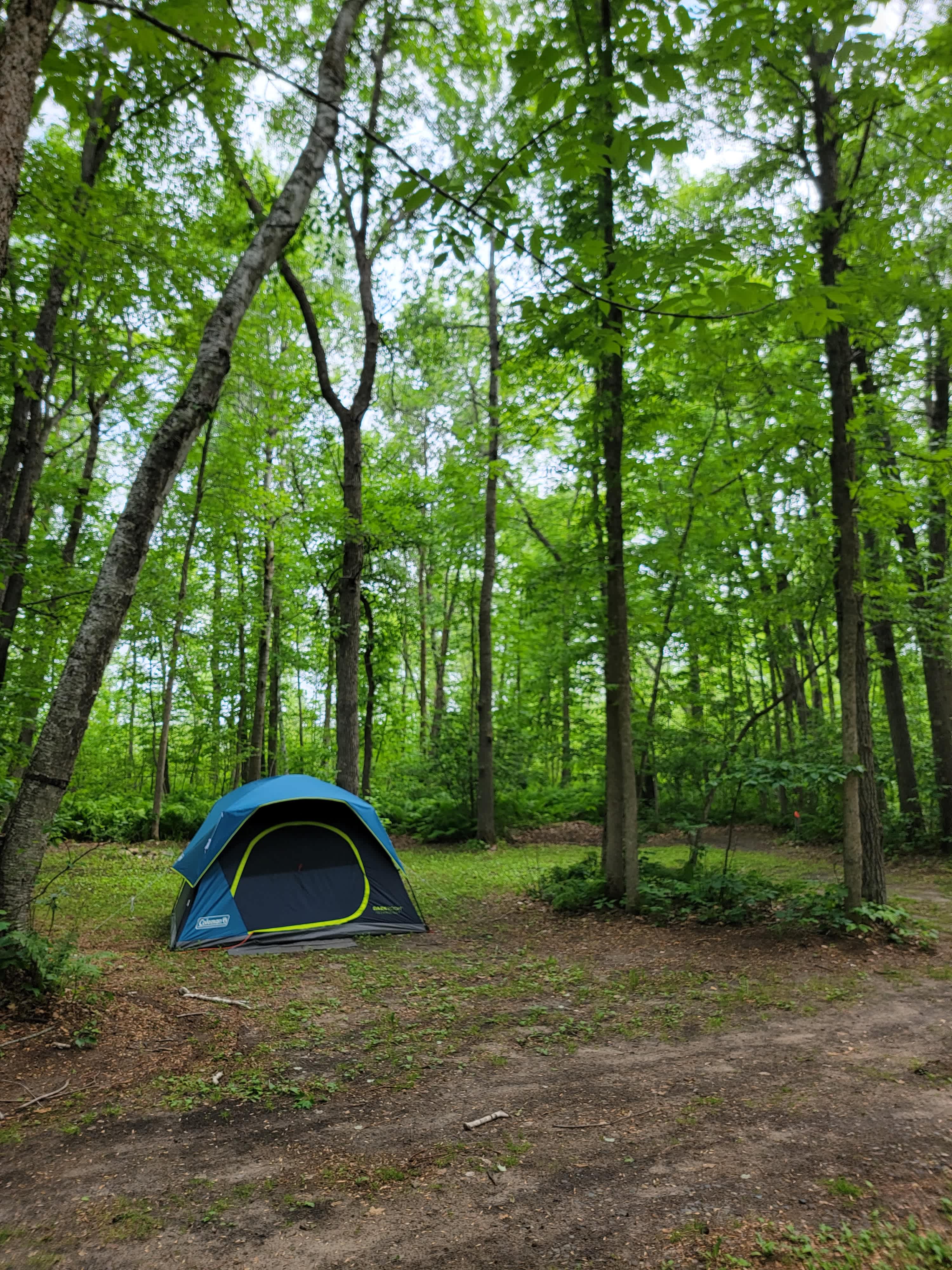TriBirches Resort And Campground