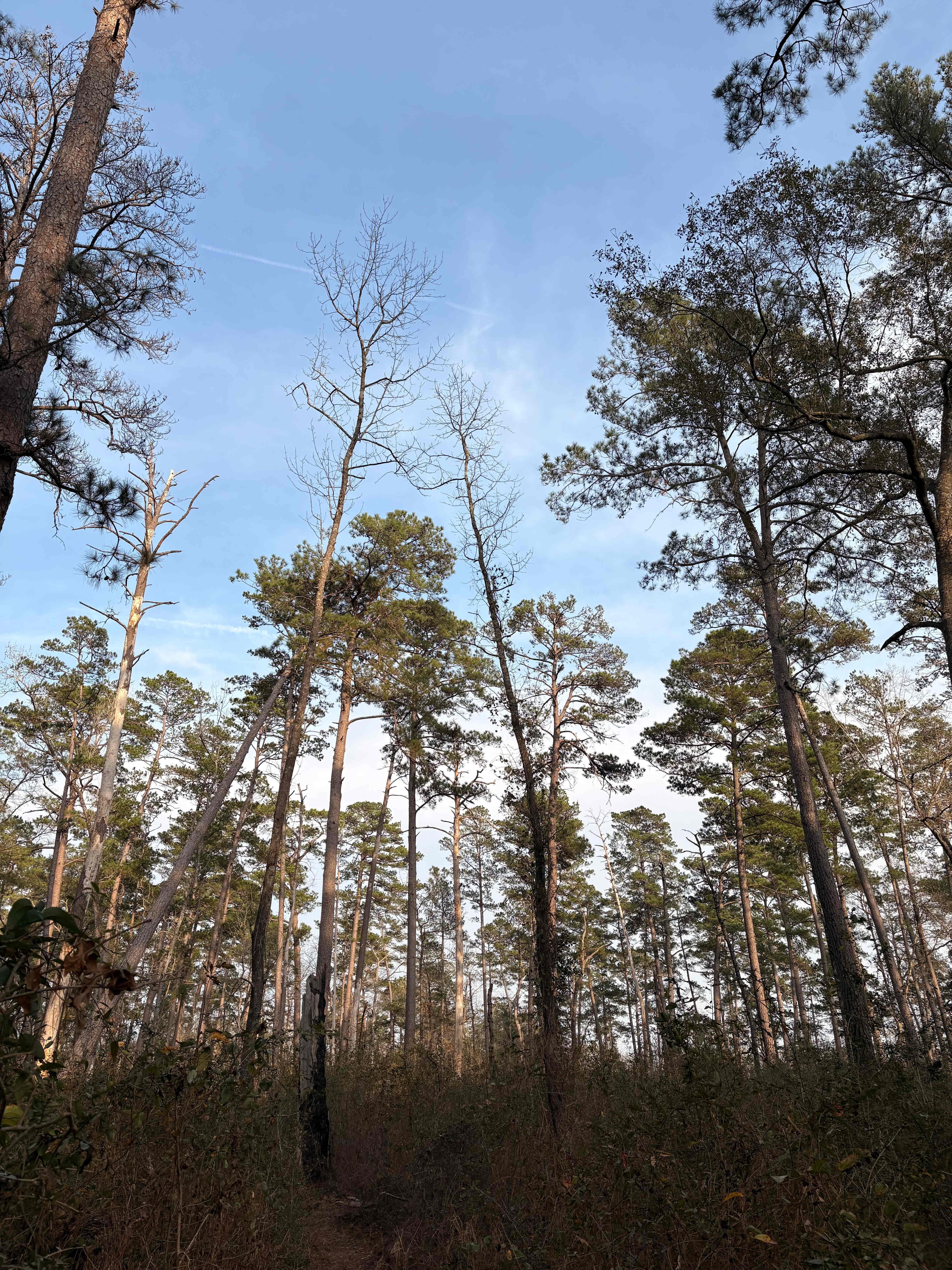 Circle C CampGrounds