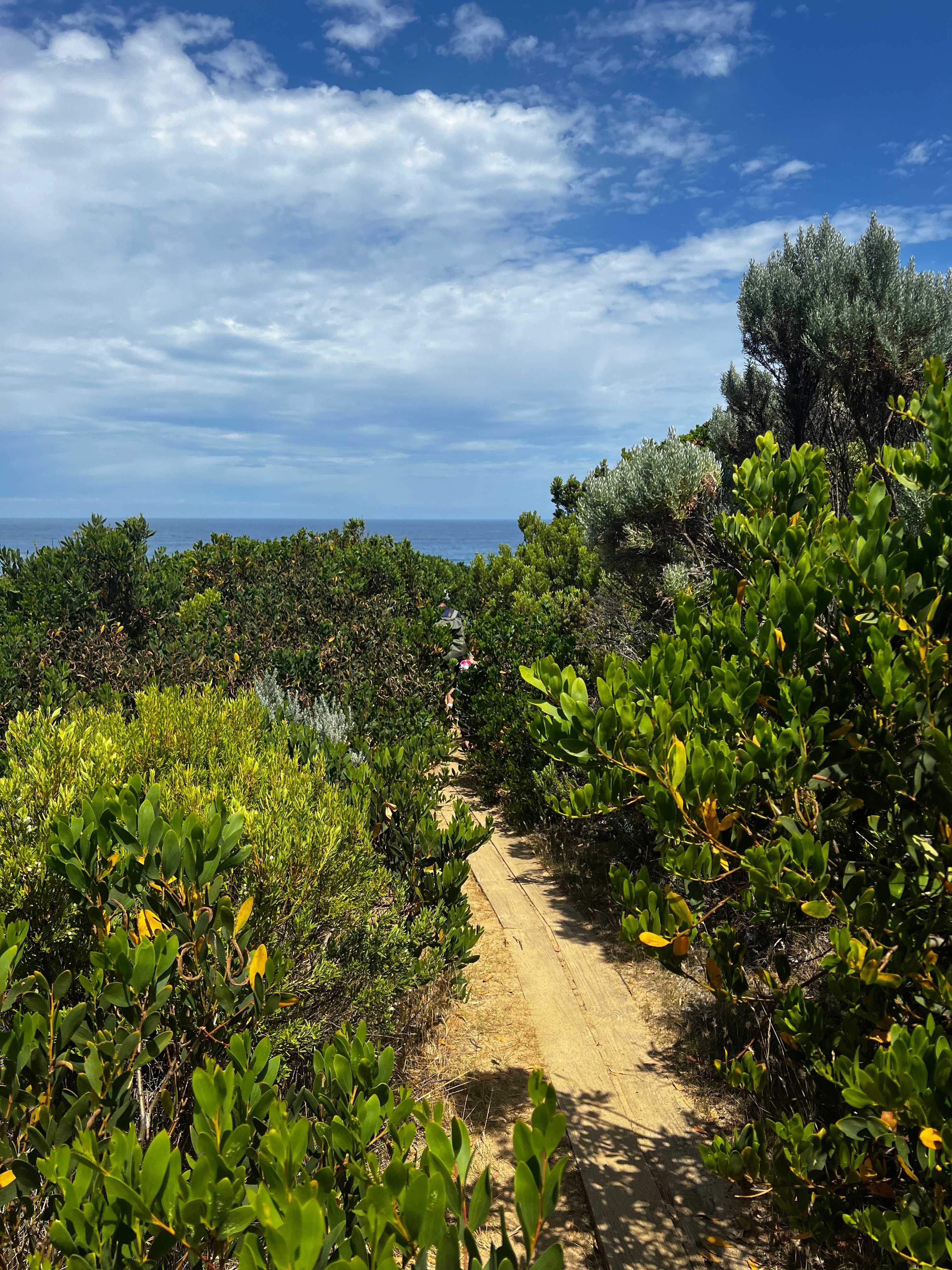 Hike photo on our way to Station Beach