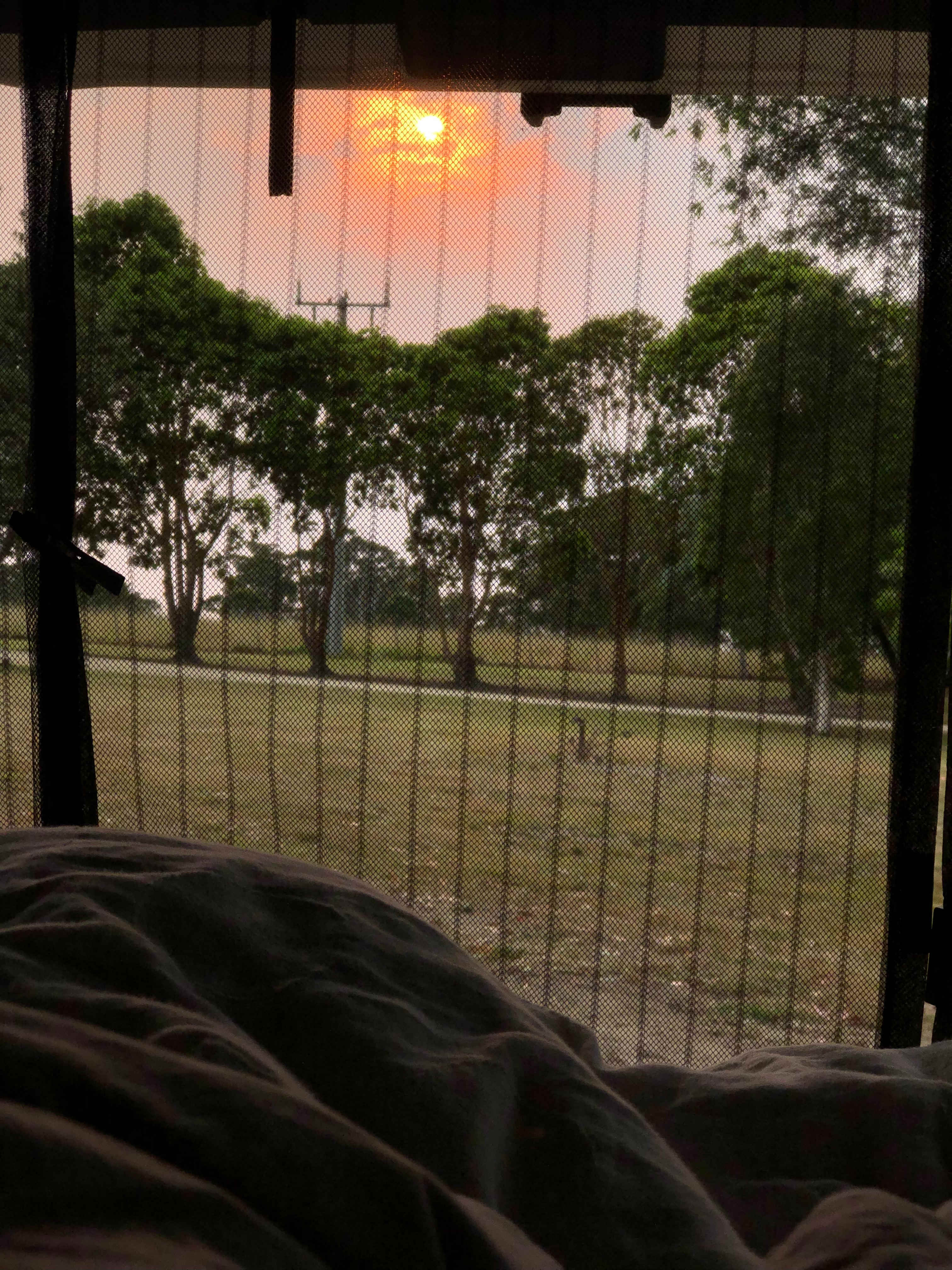 Home among the Gumtrees