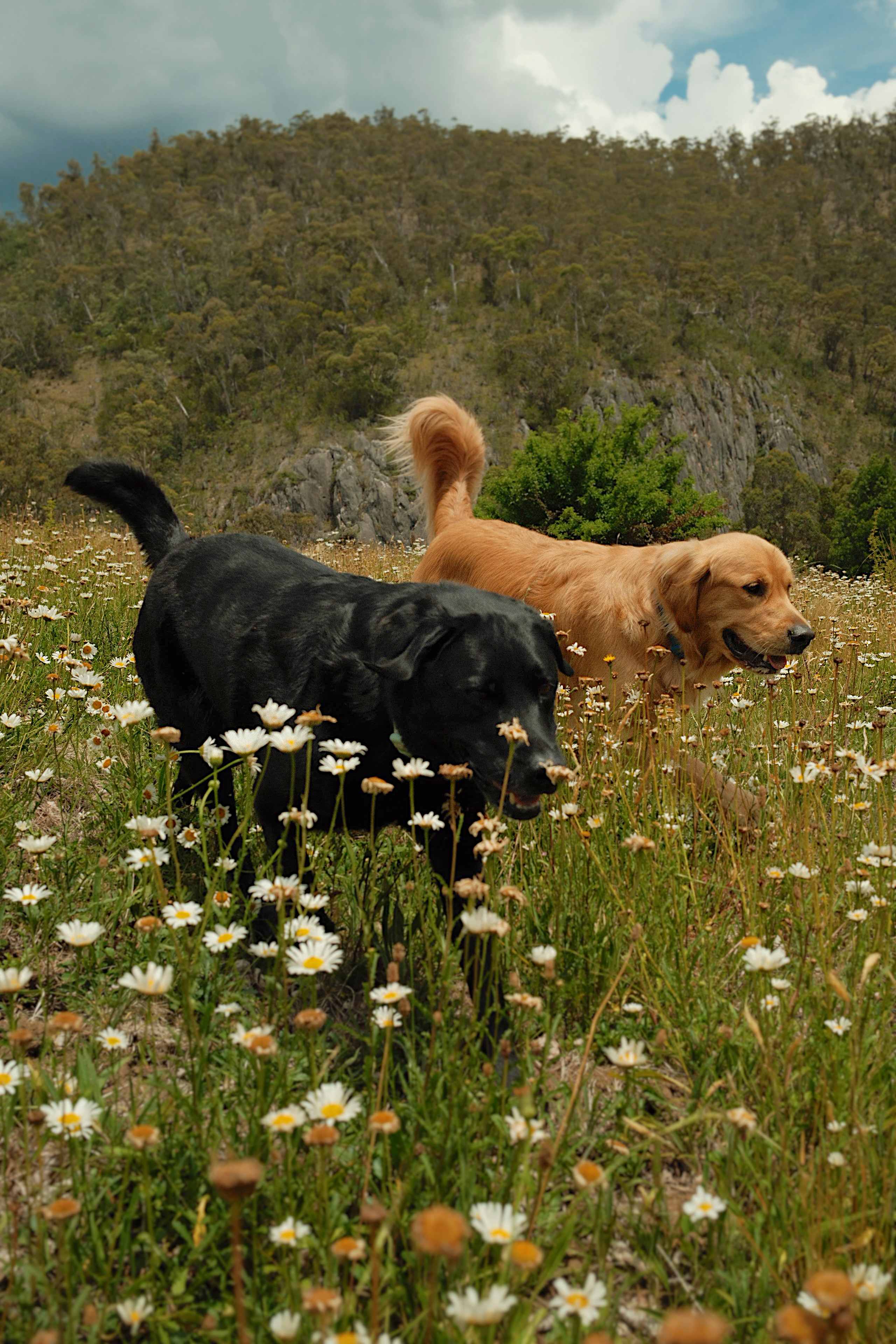 Riverside Private Retreat