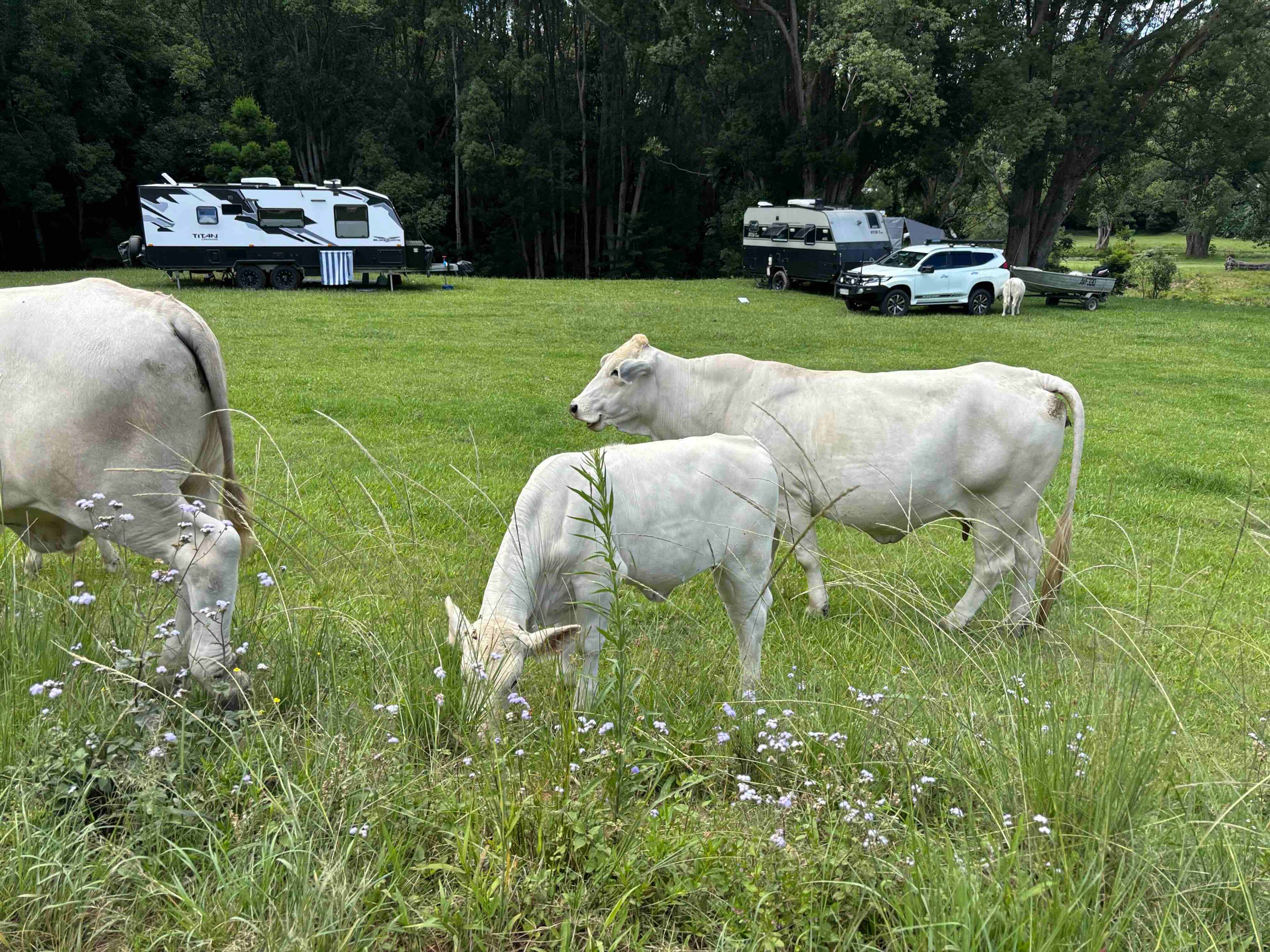 The Sleepy Hollow Manor Estate