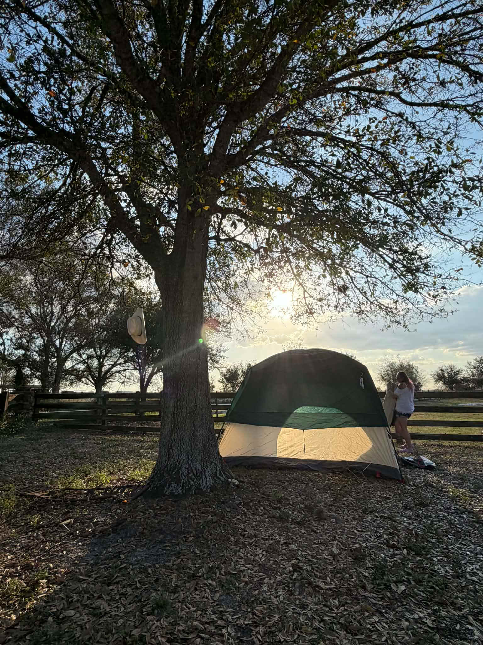 Silver Bullet Stables