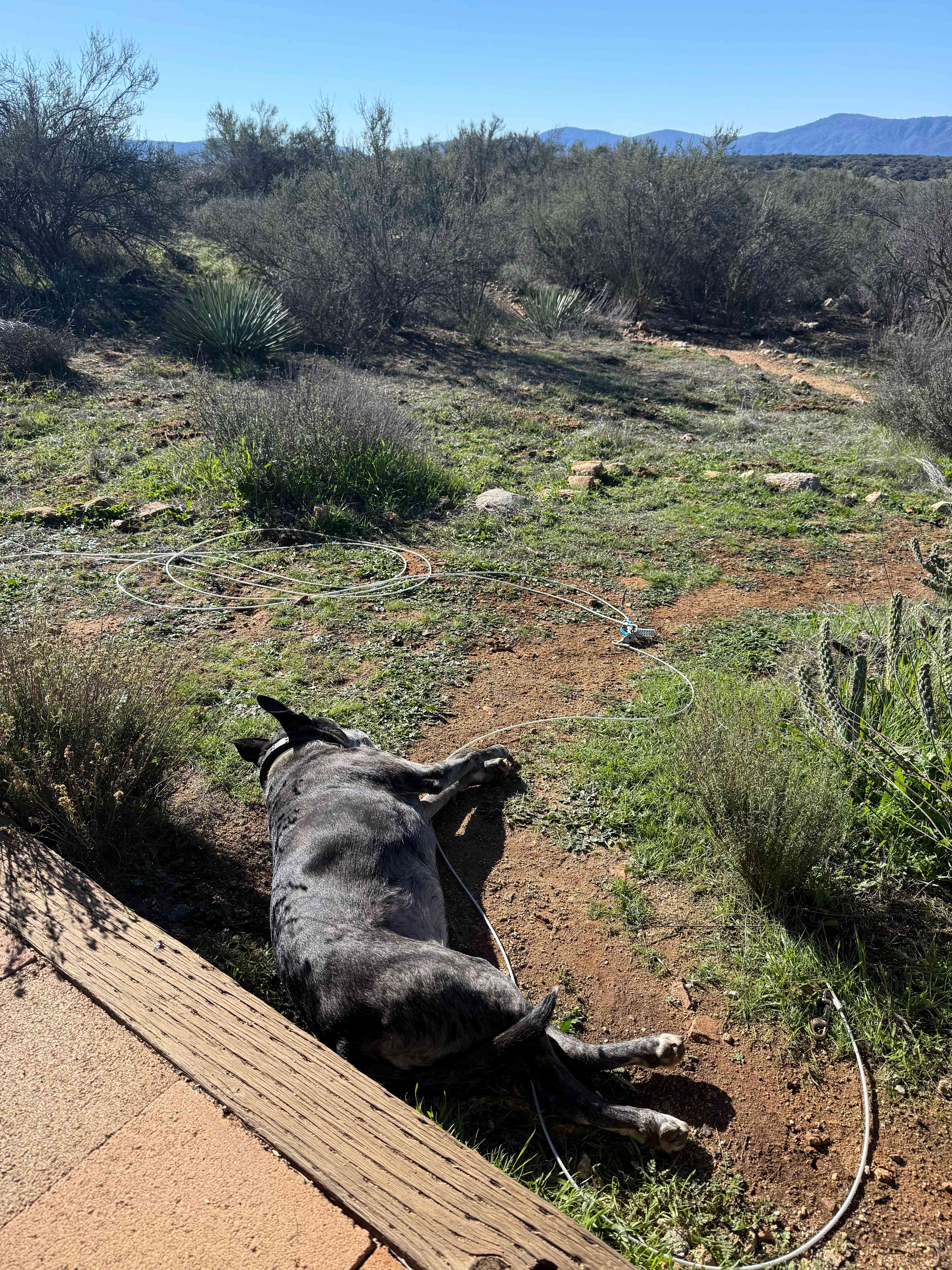 Manzanita Village Retreat