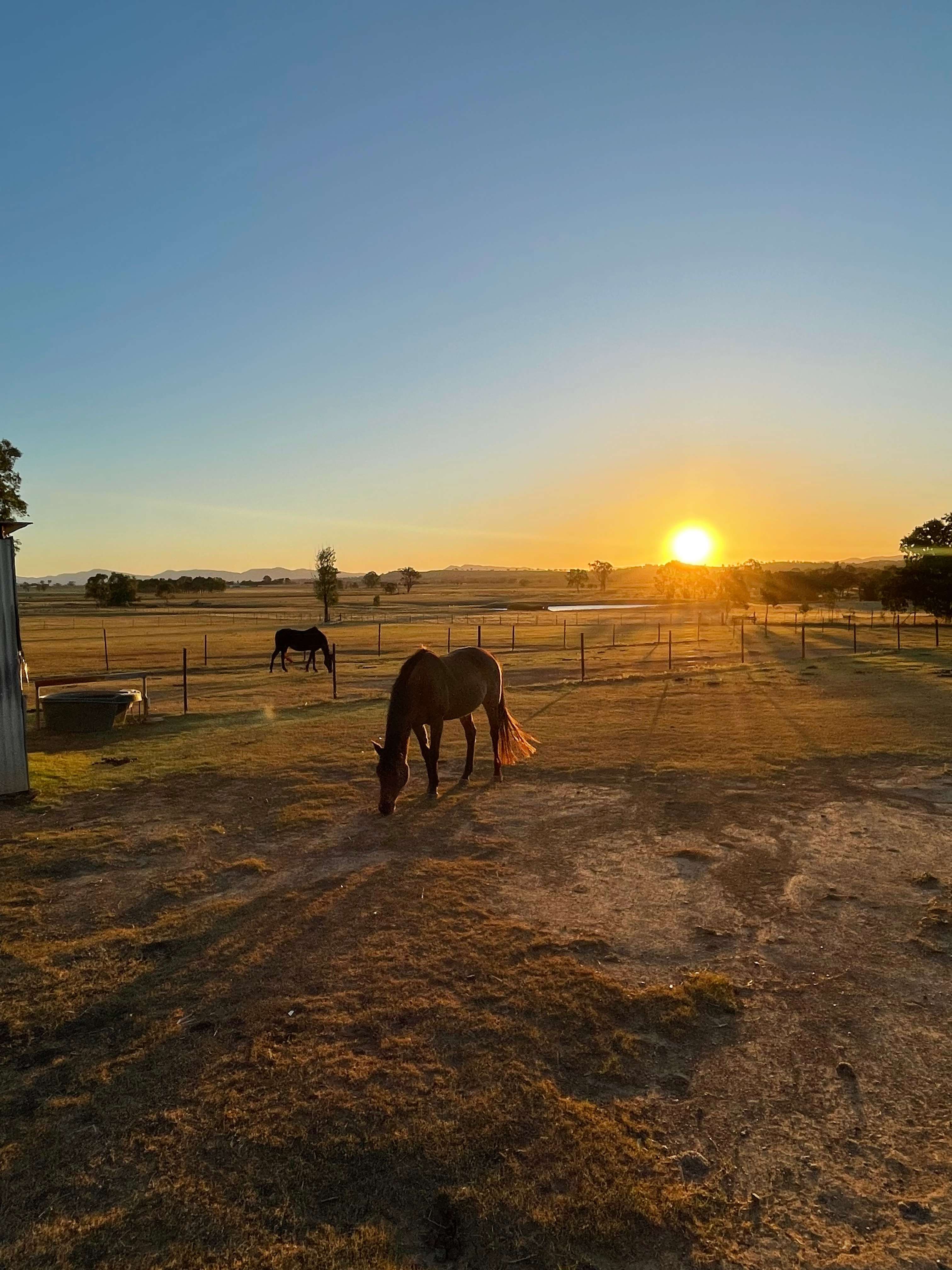Sheffield B&B Farm stay Tamworth