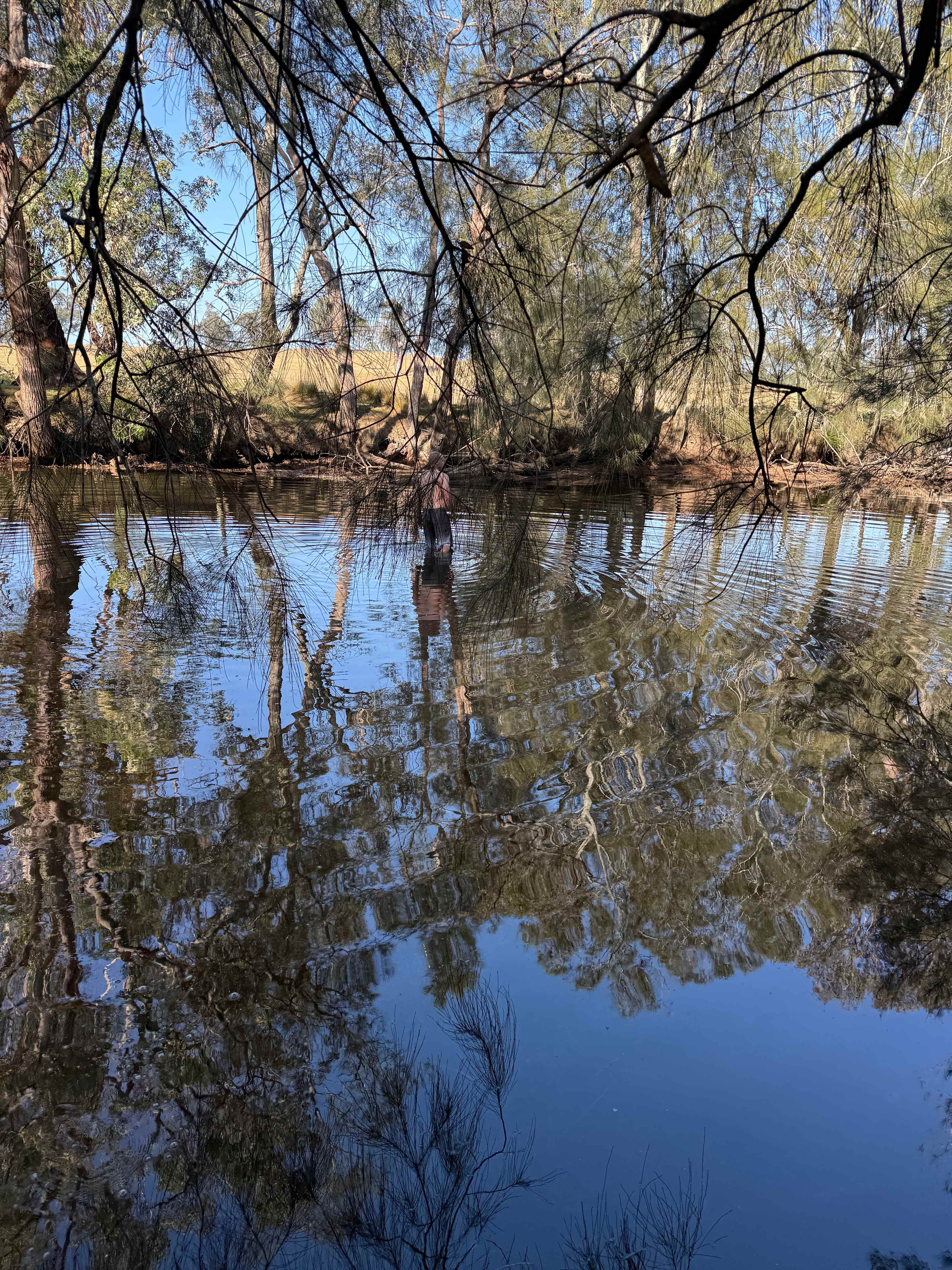 Mogo Creek Homestead - Mogo MTB